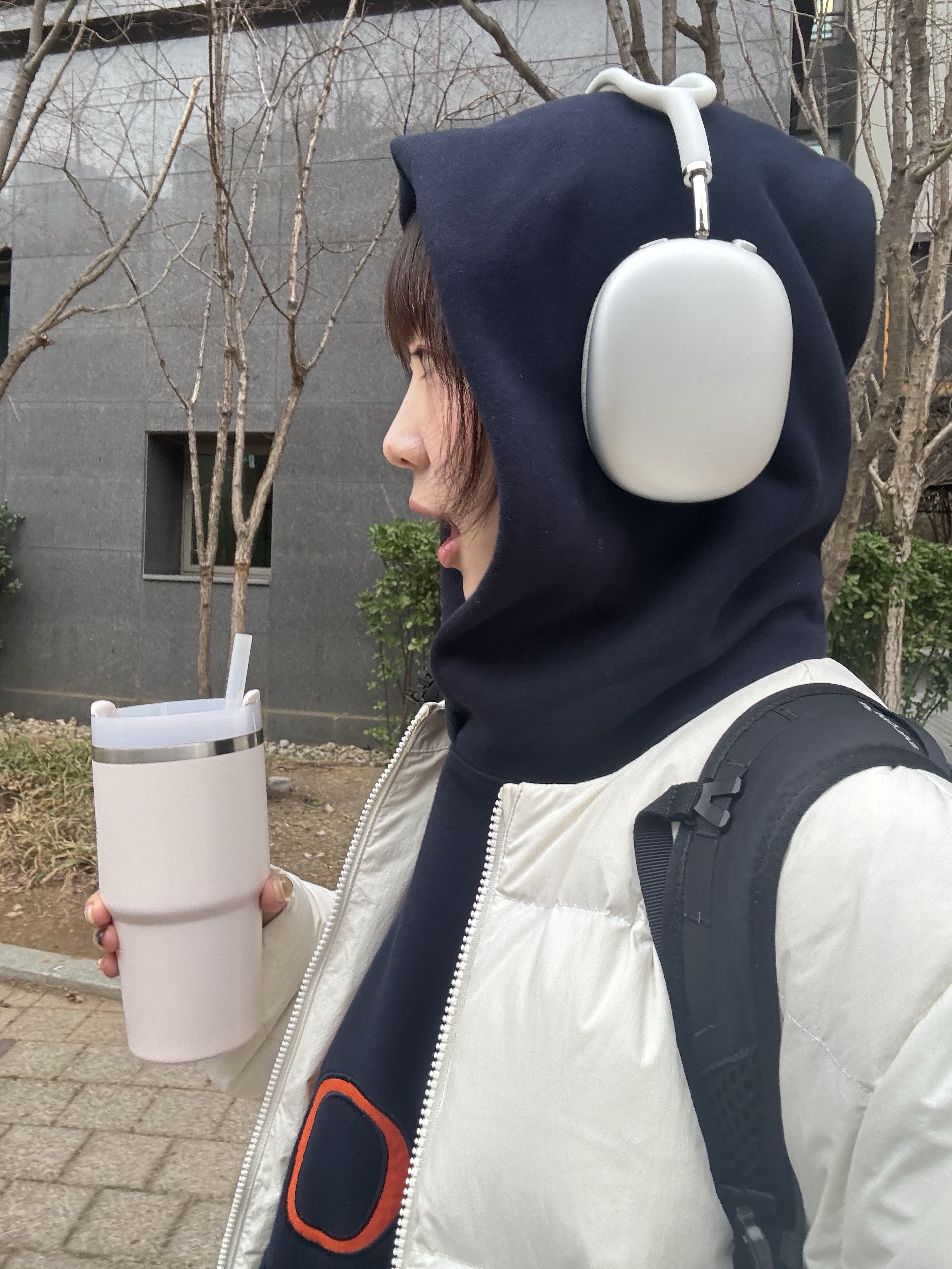 Apple AirPods Max Lightning Silver (Korean Ver.), Stanley The Quencher H2.0 Flowstate Tumbler 887ml Rose Quartz 2.0 착용 스타일