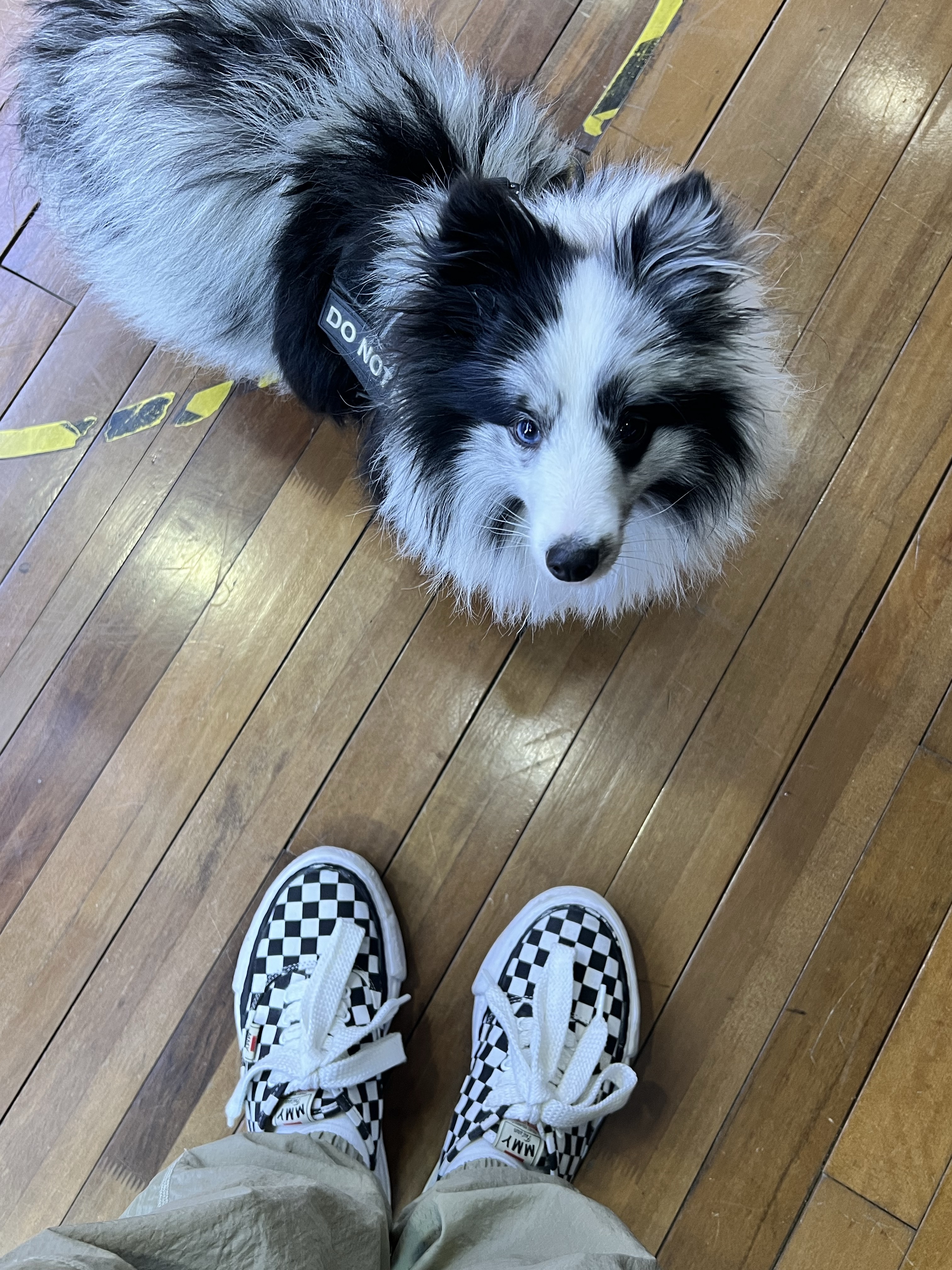 Maison Mihara Yasuhiro Baker OG Sole Canvas Low Cut Sneakers Black White 착용 스타일