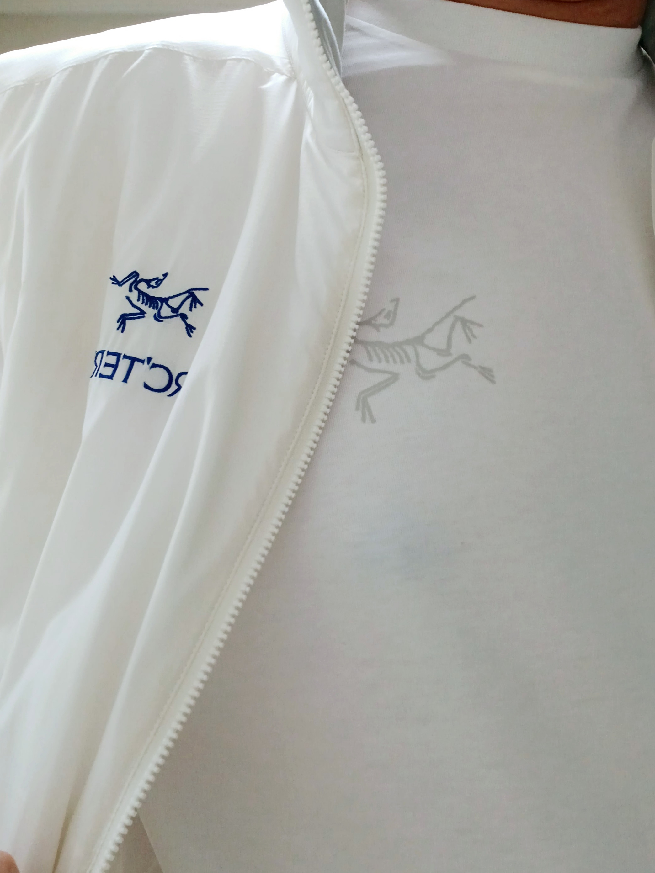 Arc'teryx Atom SL Hoody Arctic Silk, Arc'teryx Kragg SL Cotton LS Shirt White Light 착용 스타일 - 1