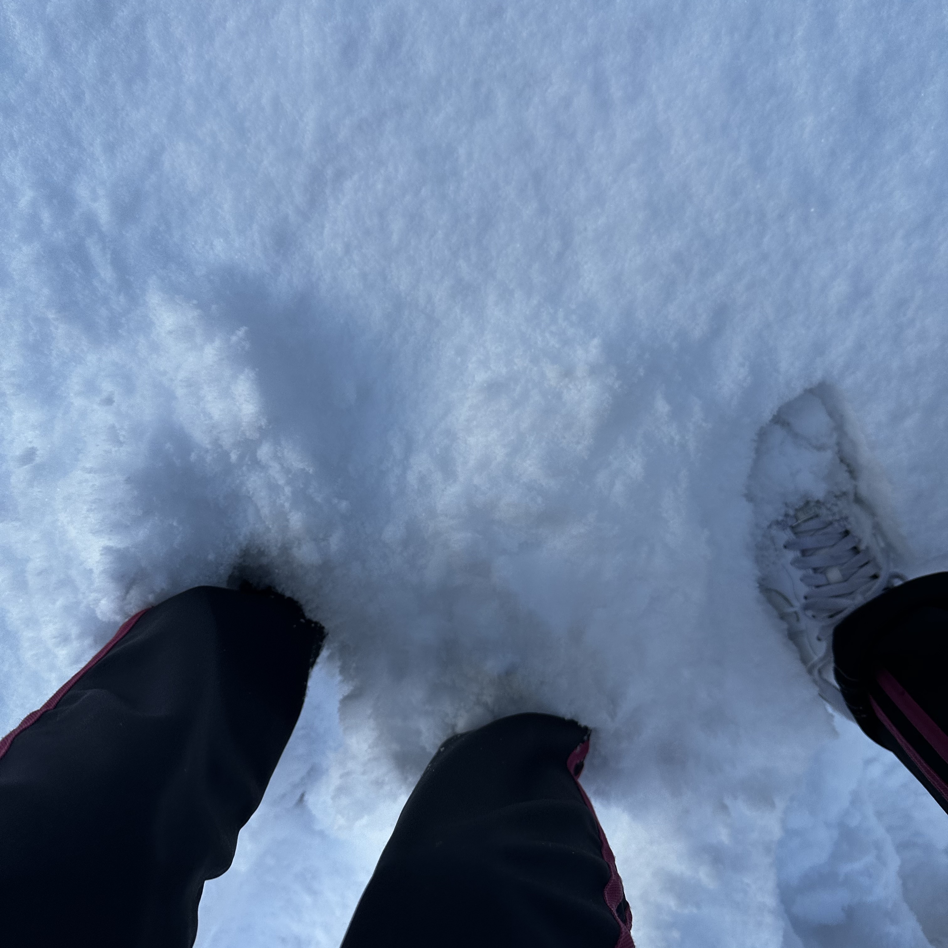 (W) Nike Air Force 1 '07 Low White 착용 스타일