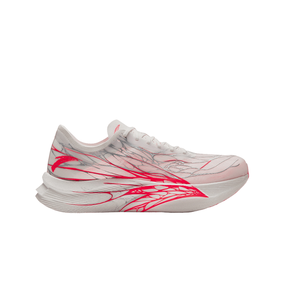 안타 C202 5 GT 화이트 레드(Anta C202 5 GT White Red)