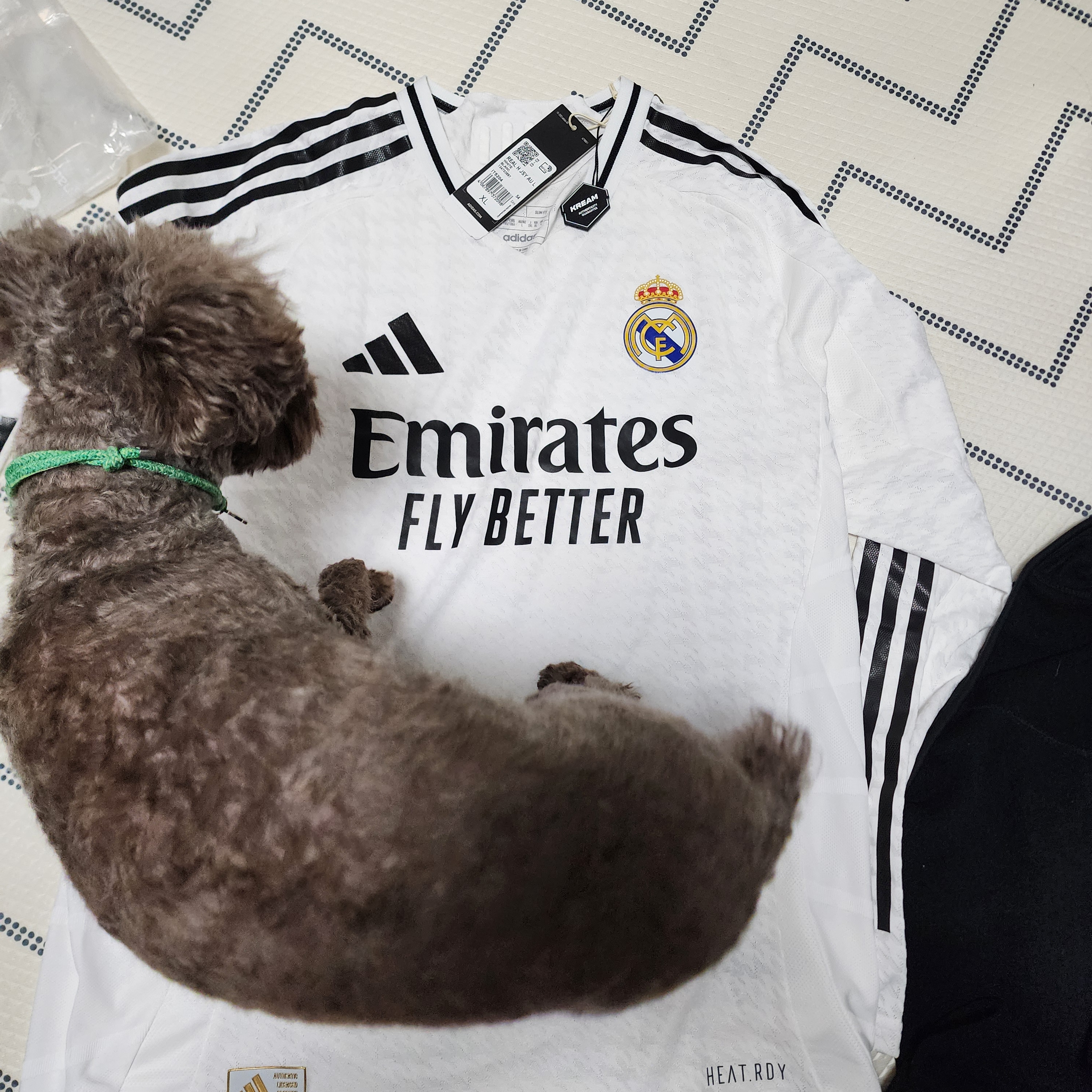 Adidas Real Madrid 2024/25 Home Authentic Long Sleeve Jersey White - KR Sizing (Non Marking Ver.) 착용 스타일 - 2