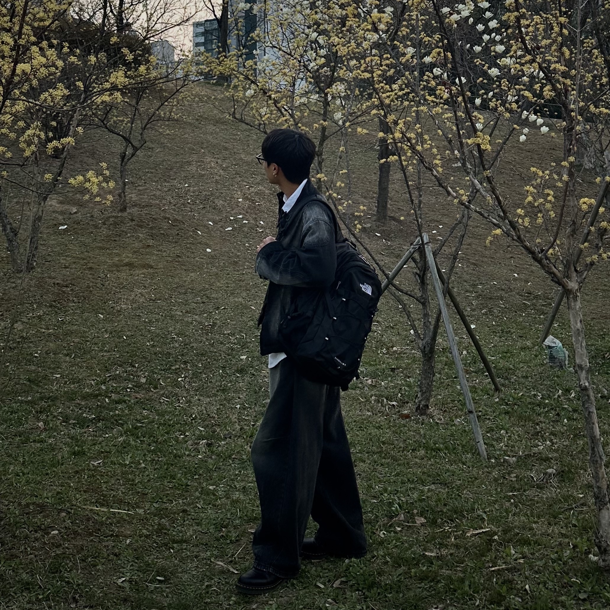The North Face Borealis II Black, Dr. Martens 1461 Smooth Black 착용 스타일 - 2