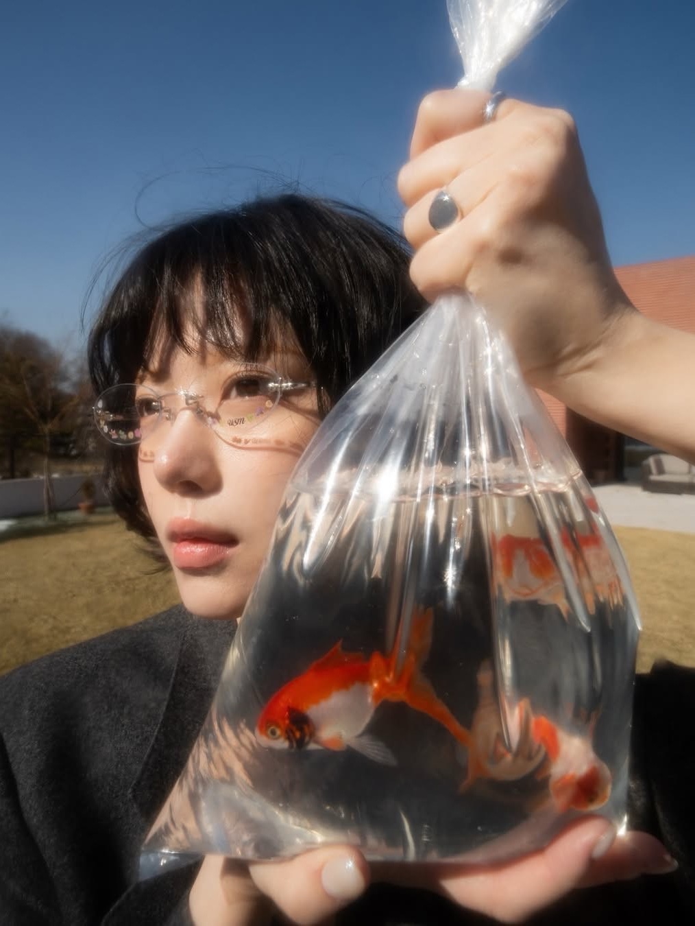 likesil님의 스타일 - 4