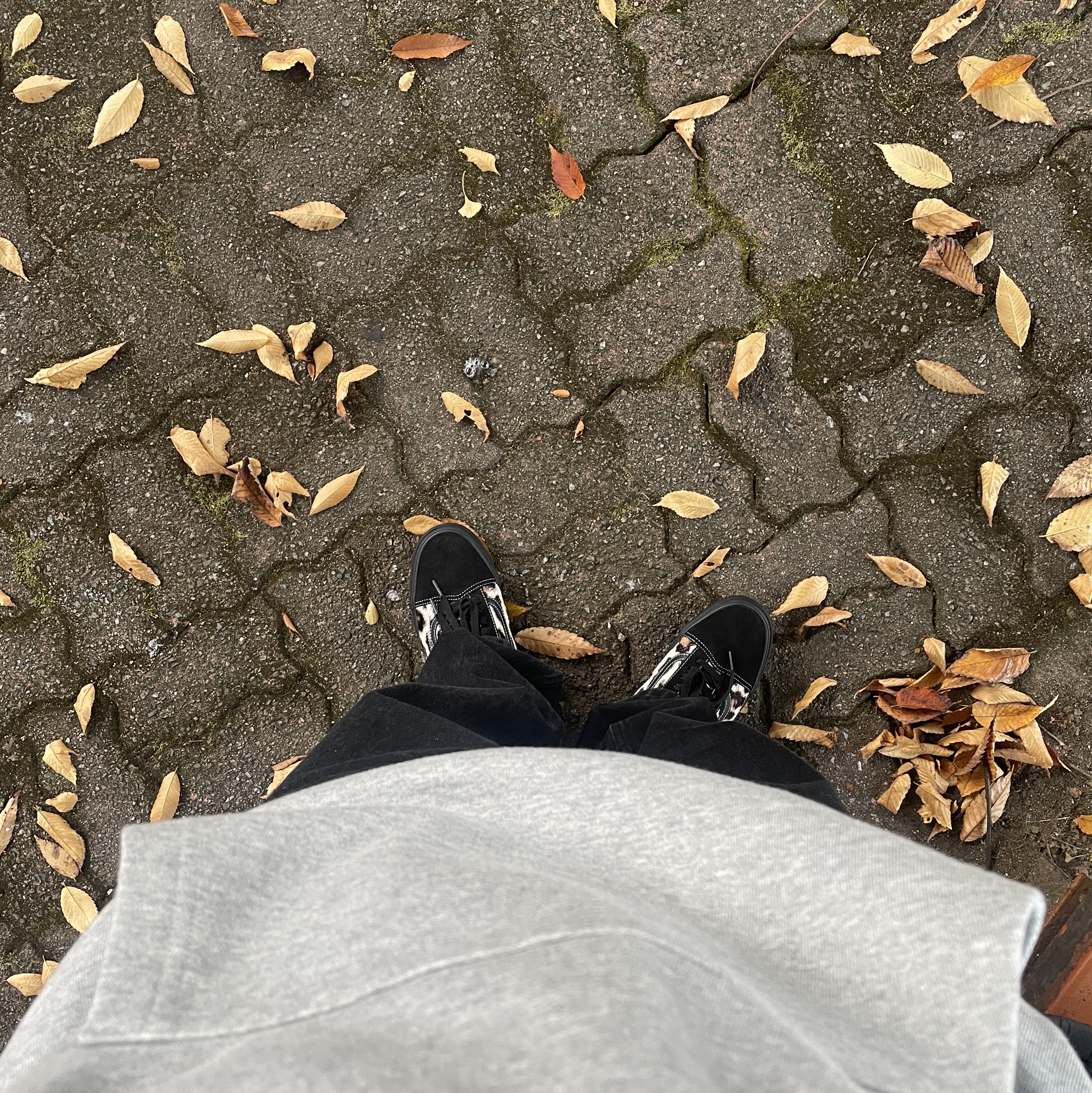 Vans x Supreme Leopard Old Skool Black 착용 스타일