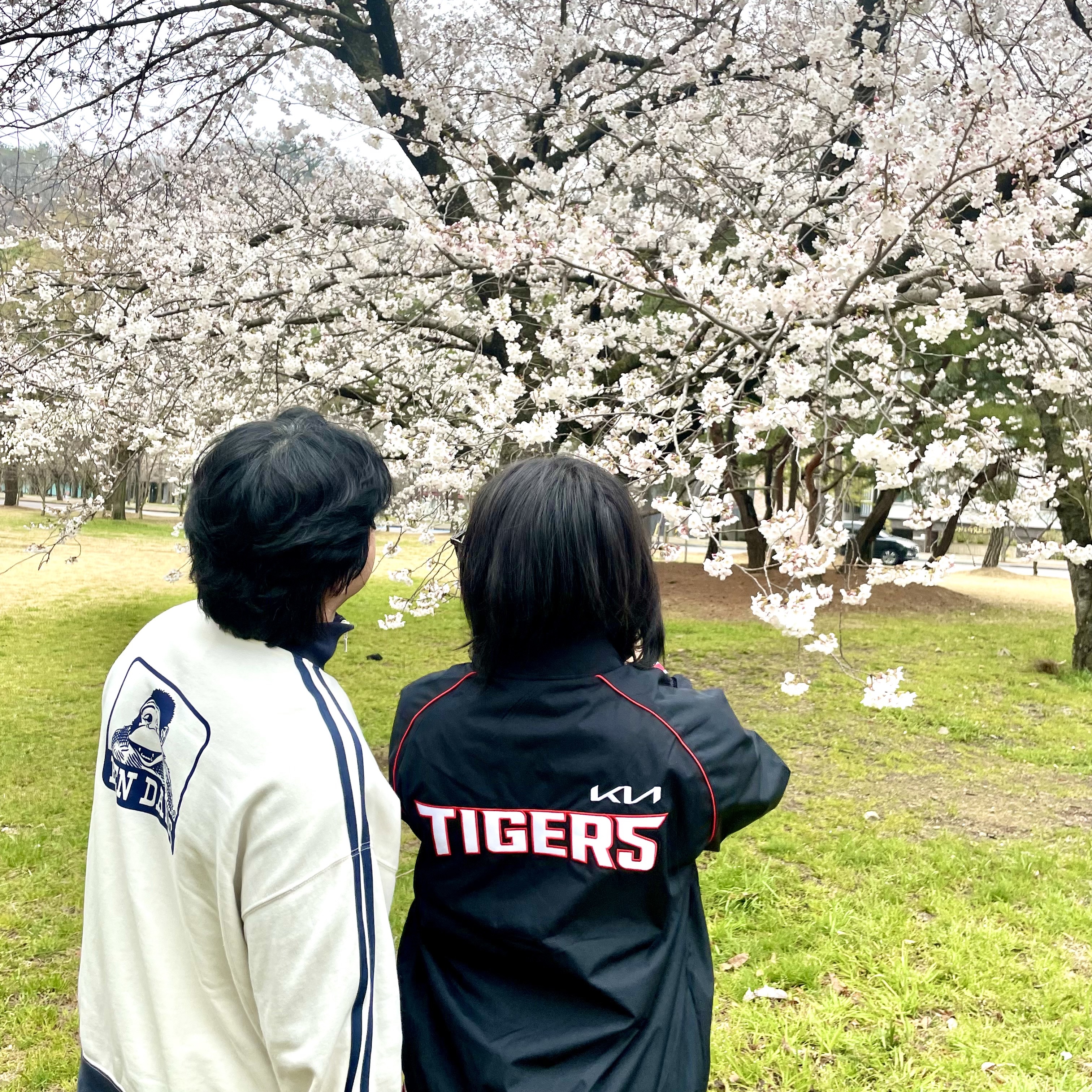 Kia Tigers x IAB Studio 24 Authentic Spring Autumn Jumper Black 착용 스타일
