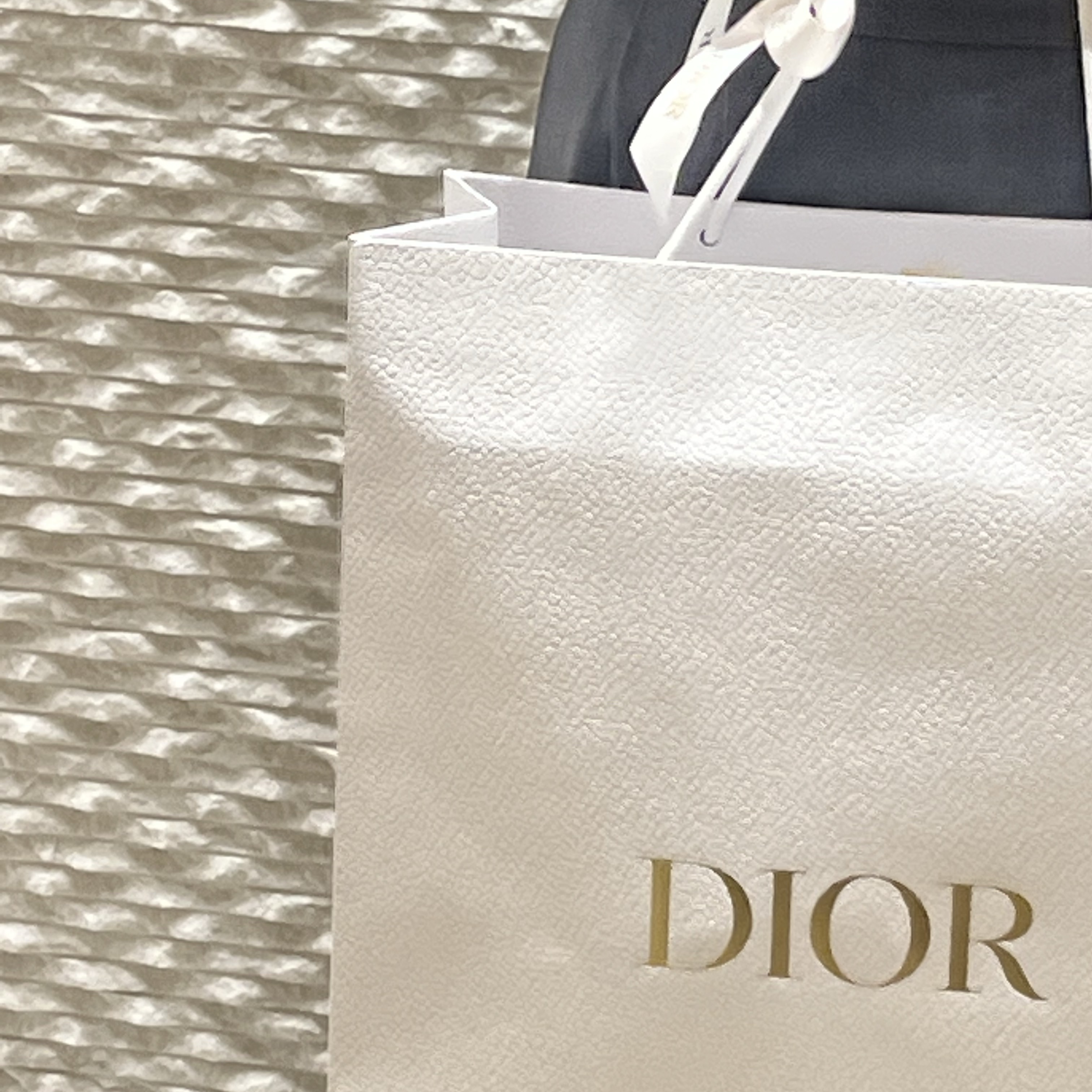 Dior Small Book Tote Macrocannage Calf Skin Black, Dragon Diffusion Mini Flat Gora Dark Brown 착용 스타일 - 2
