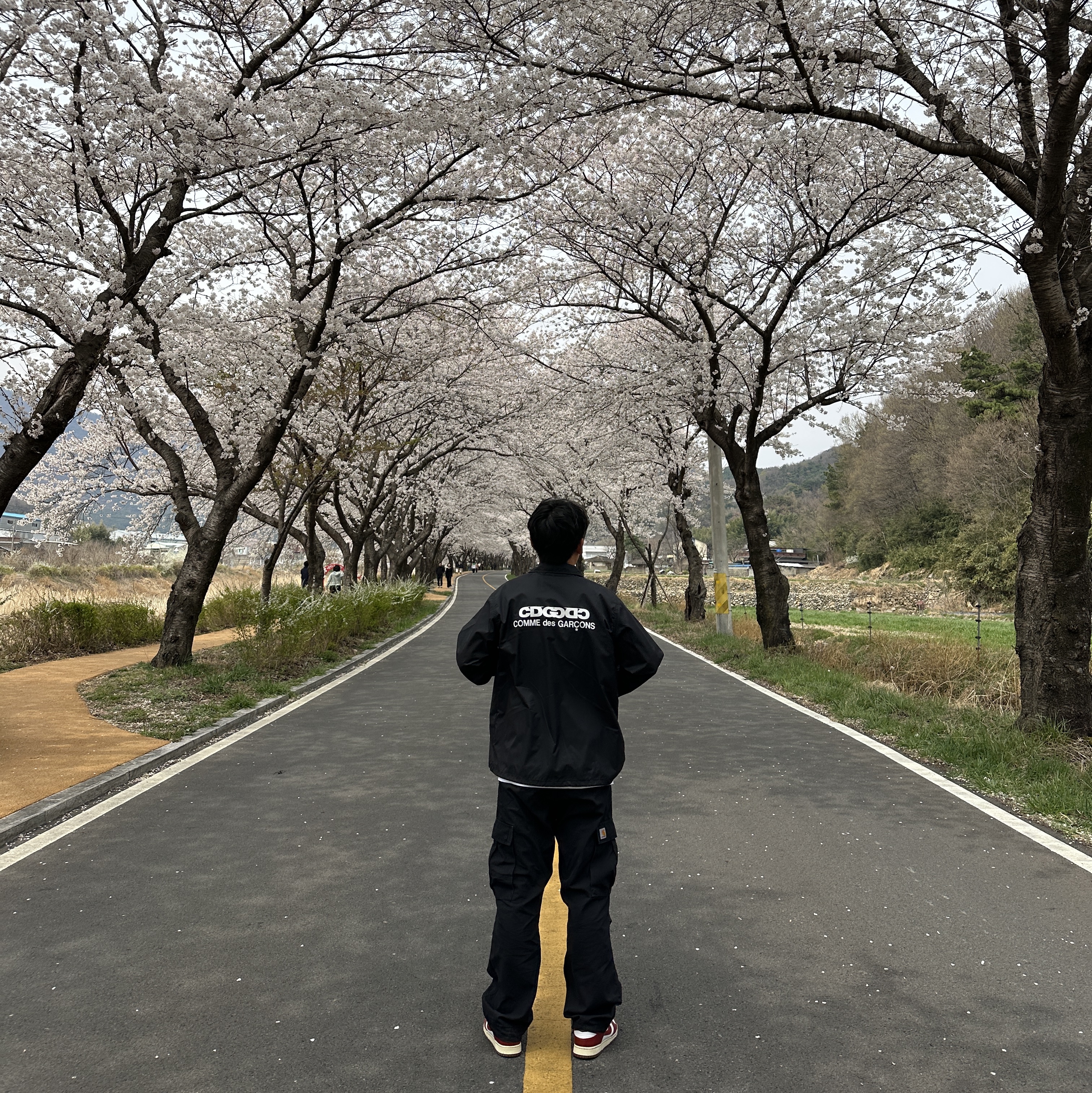 CDG Coach Jacket5 Black, Carhartt WIP Columbia Ripstop Regular Cargo Pants Black 착용 스타일
