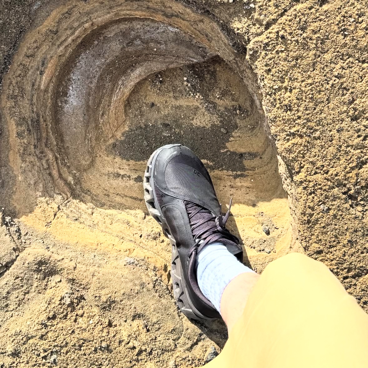 On Running x Post Archive Faction (Paf) Cloudmonster 2 Thorn Brown 착용 스타일