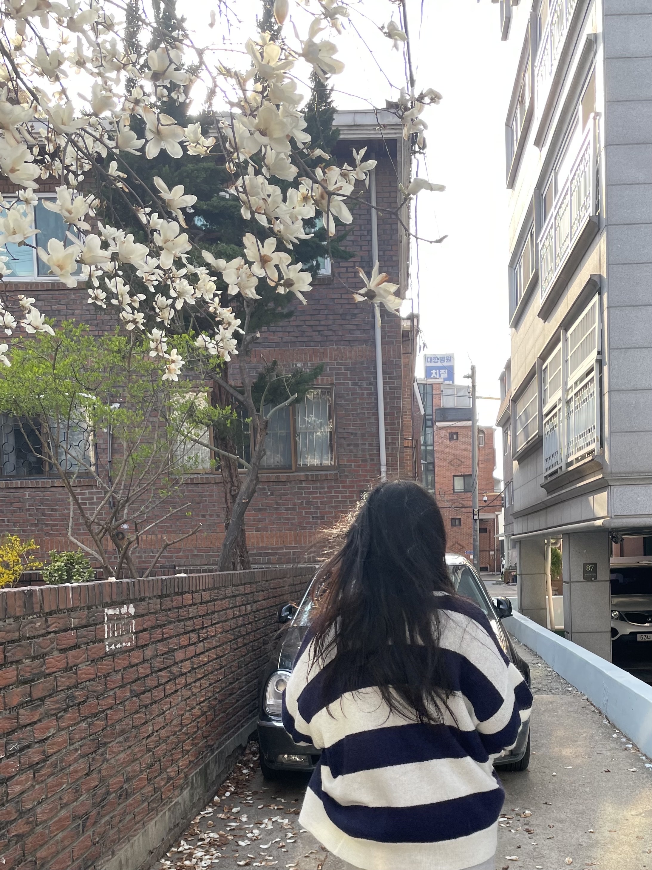 LAZYZ Easy Soft Loose Fit knit Cardigan ivory/navy 착용 스타일