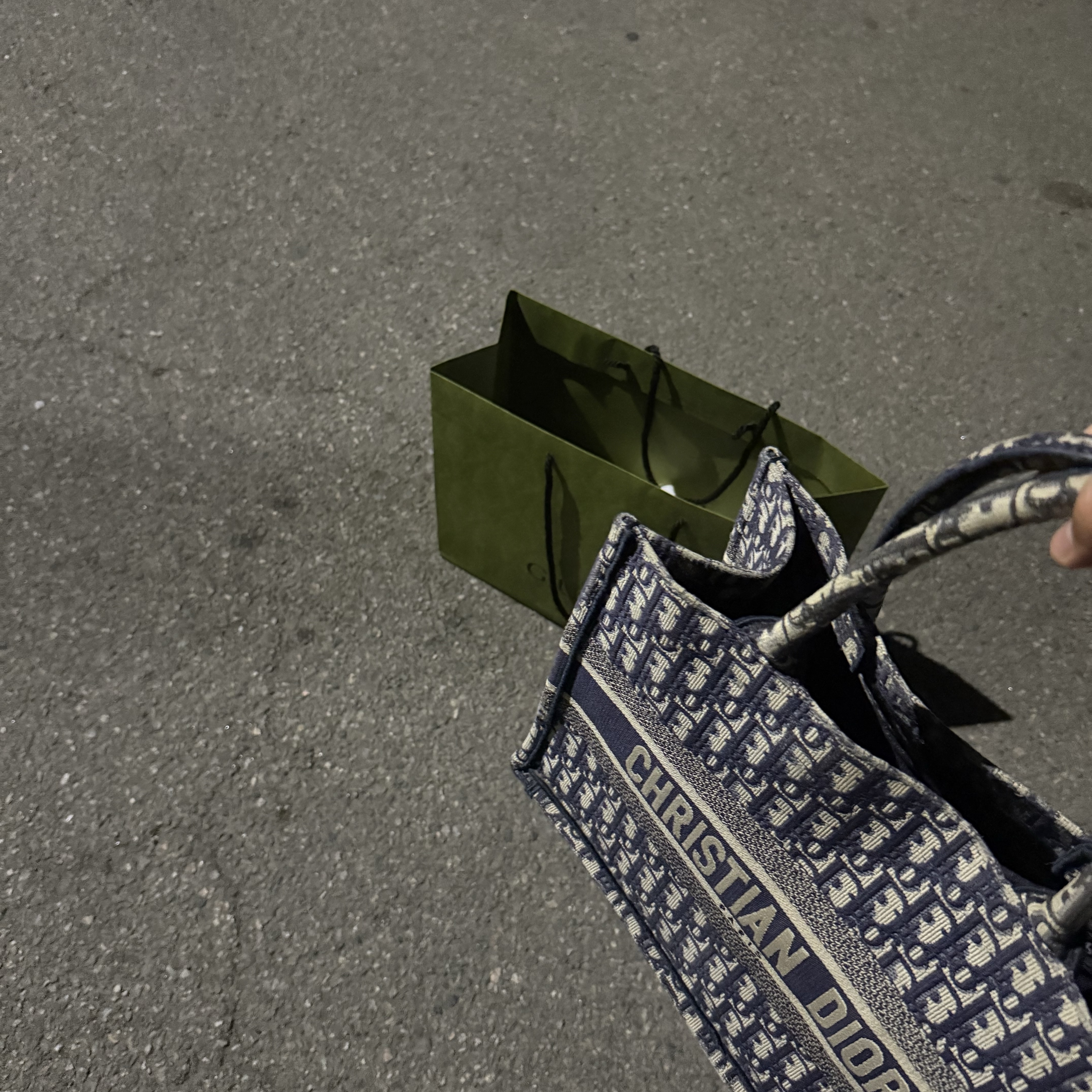 Dior Small Book Tote Blue Dior Oblique Embroidery 착용 스타일