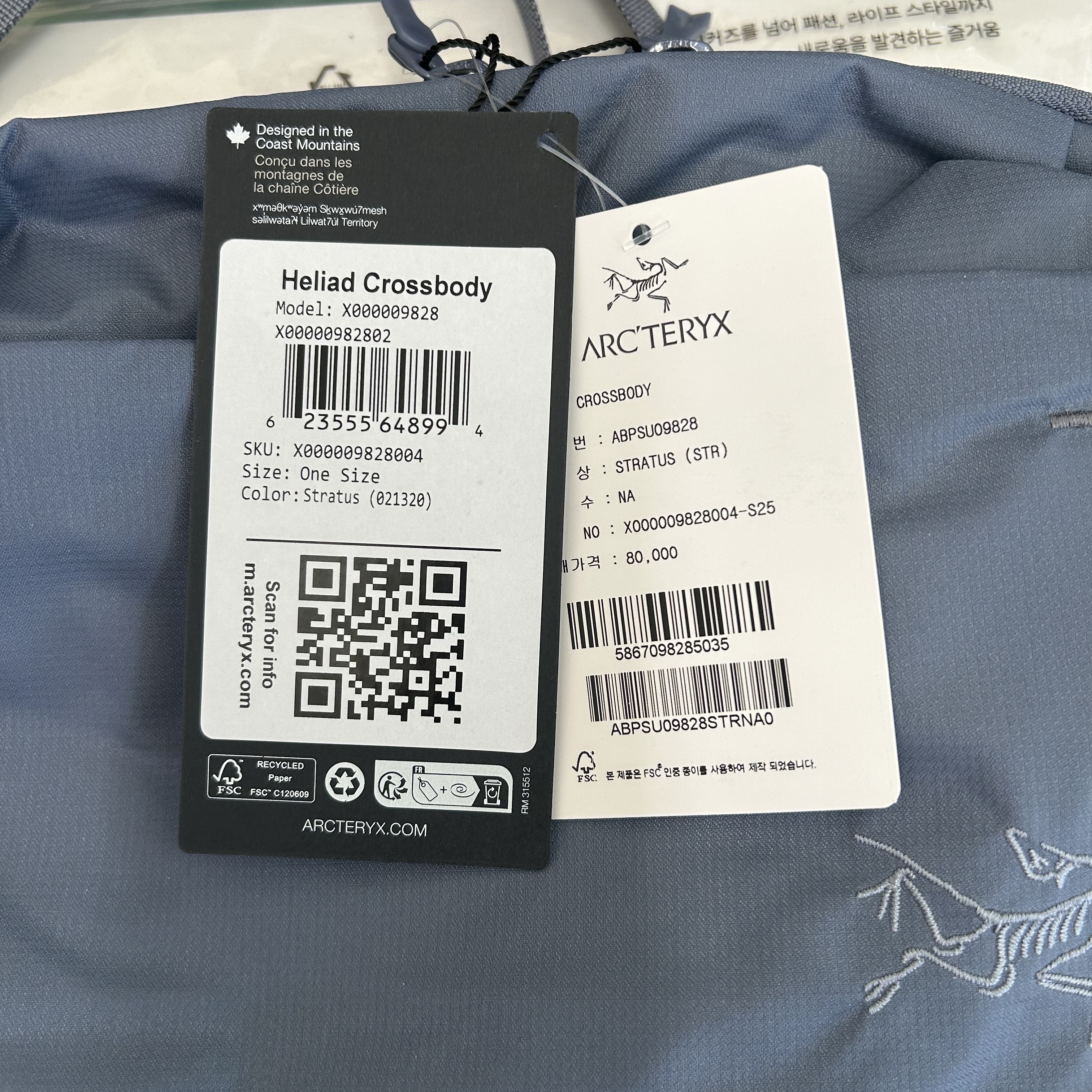 Arc'teryx Heliad Crossbody Bag Stratus 착용 스타일 - 1
