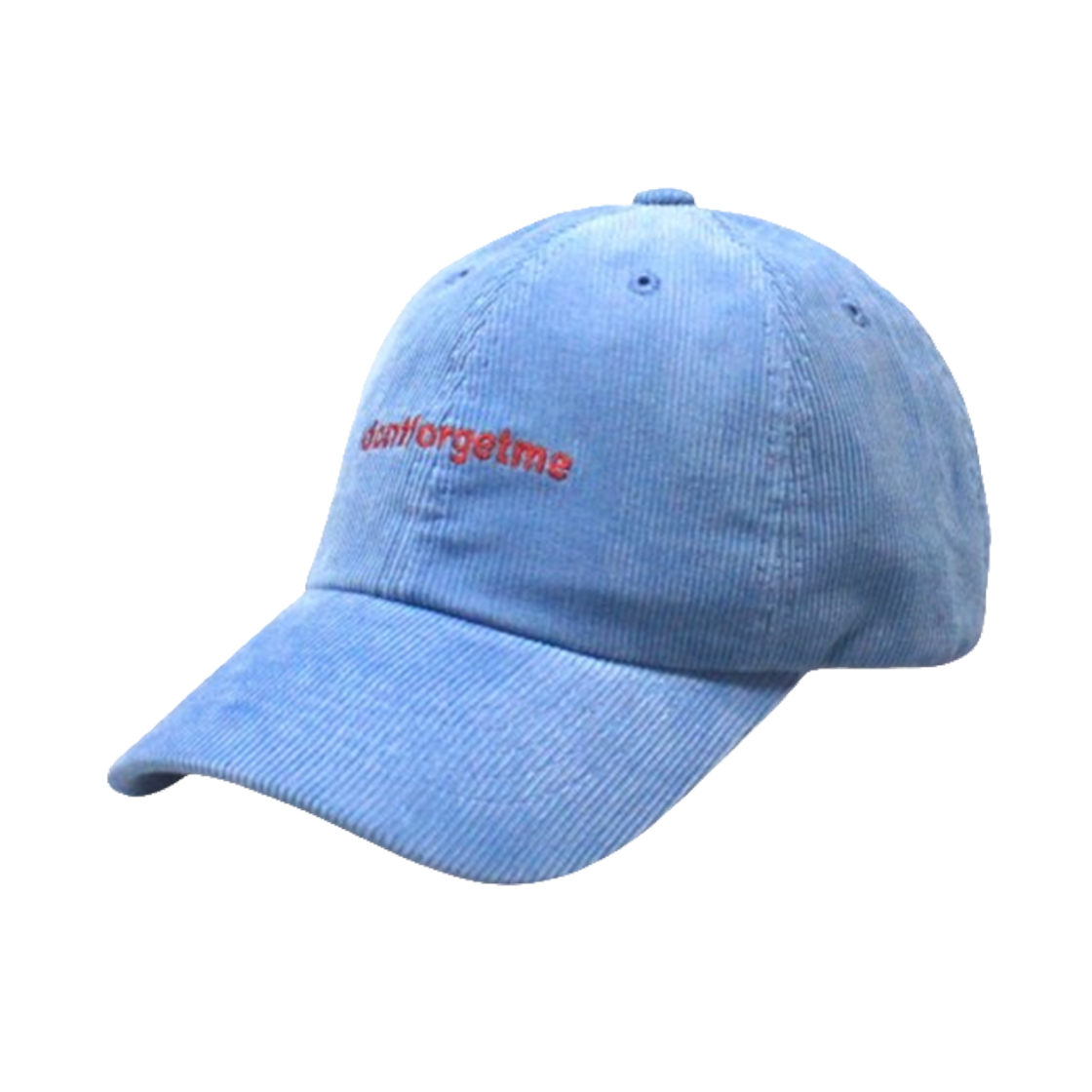 돈포겟미 에잇 코듀 볼캡 블루(DONTFORGETME 8 Codu Strap Blue)