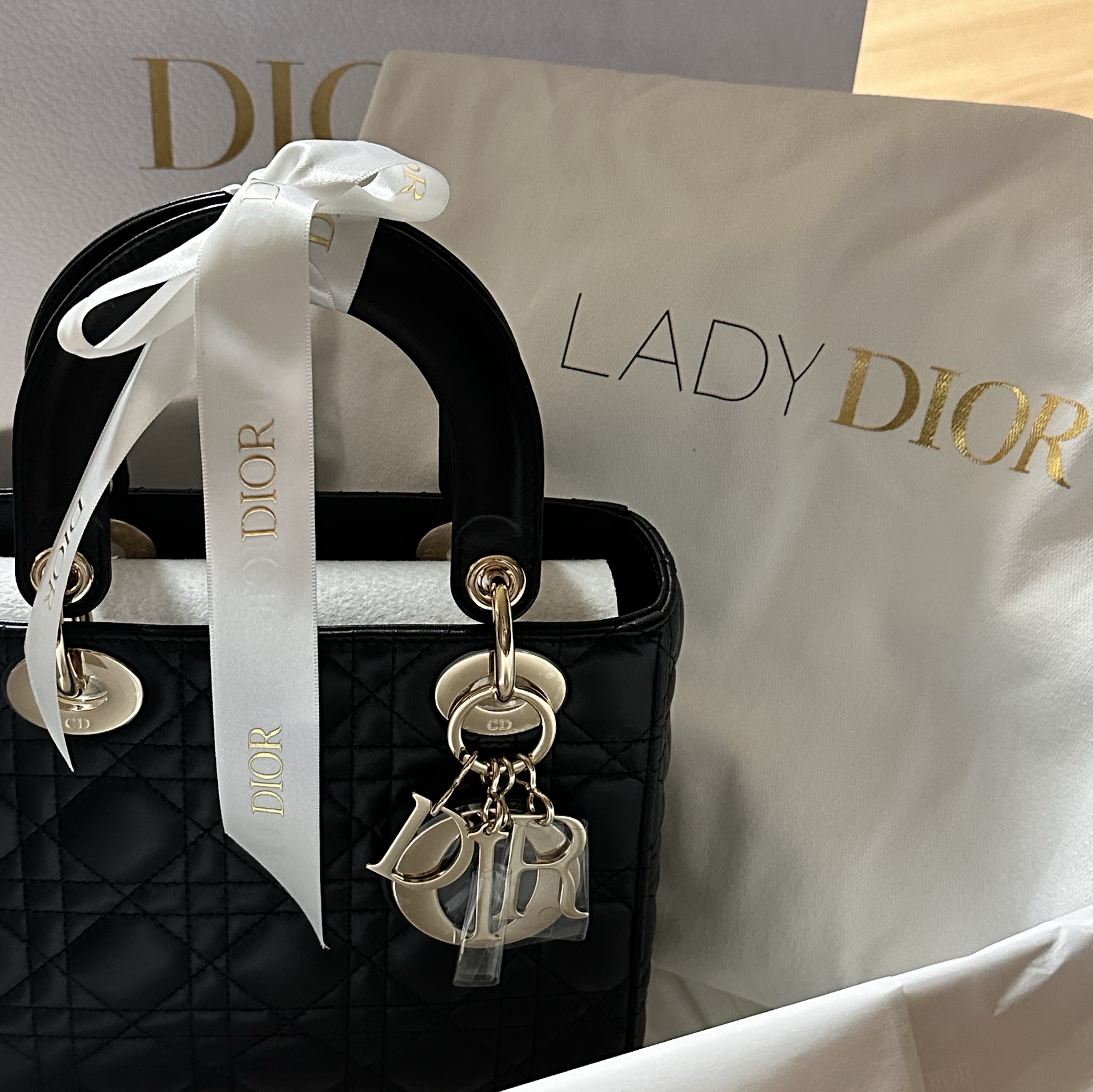 Dior Small Lady Bag My ABCDior Cannage Lambskin Black 착용 스타일