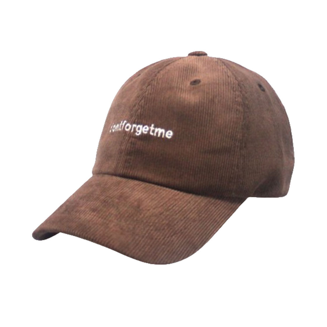 돈포겟미 에잇 코듀 볼캡 브라운(DONTFORGETME 8 Codu Strap Brown)