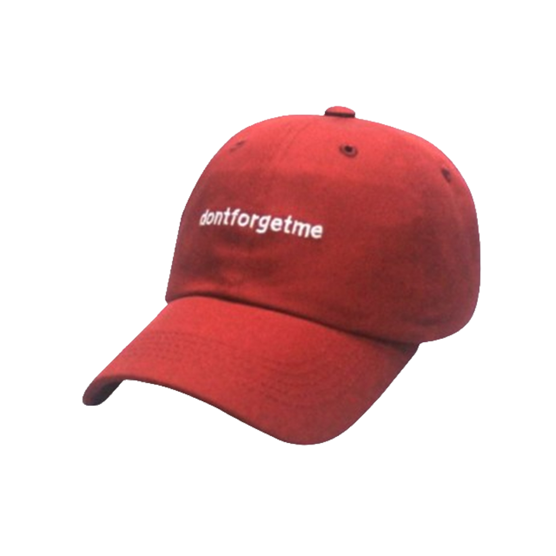 돈포겟미 볼캡 레드(DONTFORGETME Strap Red)