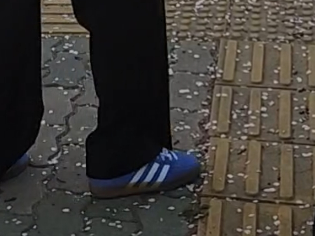 (W) Adidas Gazelle Indoor Blue Fusion Cloud White 착용 스타일