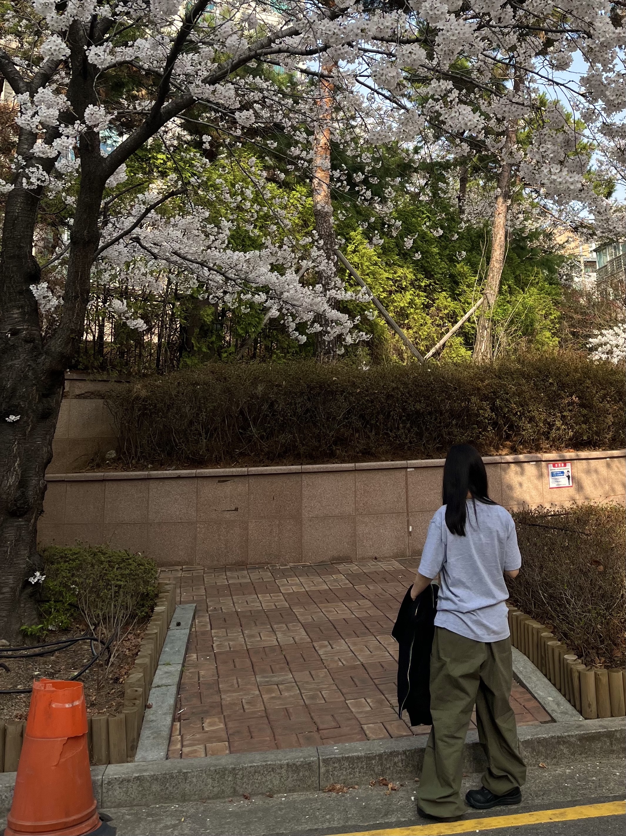 Asics Winjob CP215 Black 착용 스타일 - 3