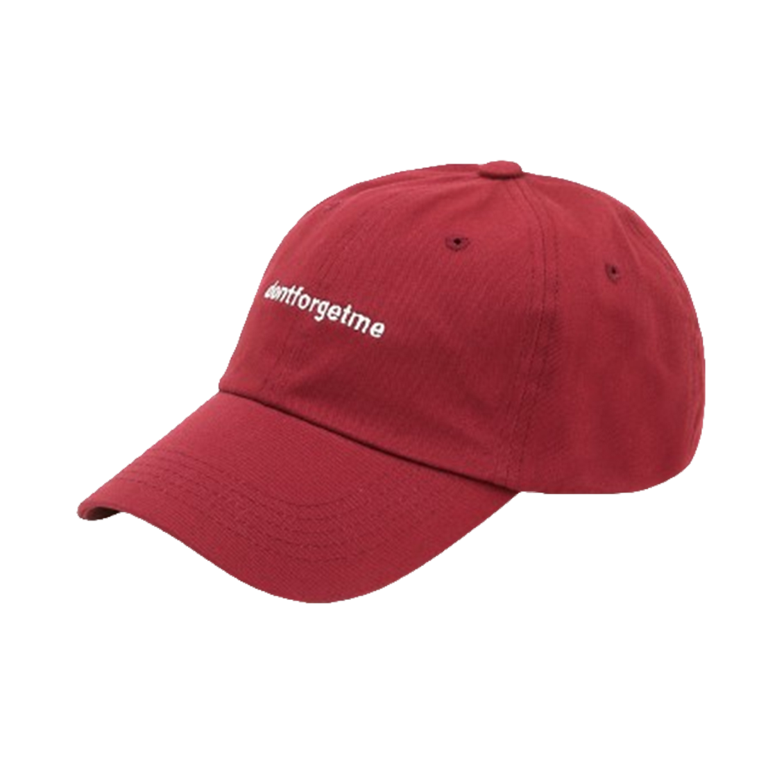 돈포겟미 빅사이즈 볼캡 레드(DONTFORGETME Big Size Strap Red)