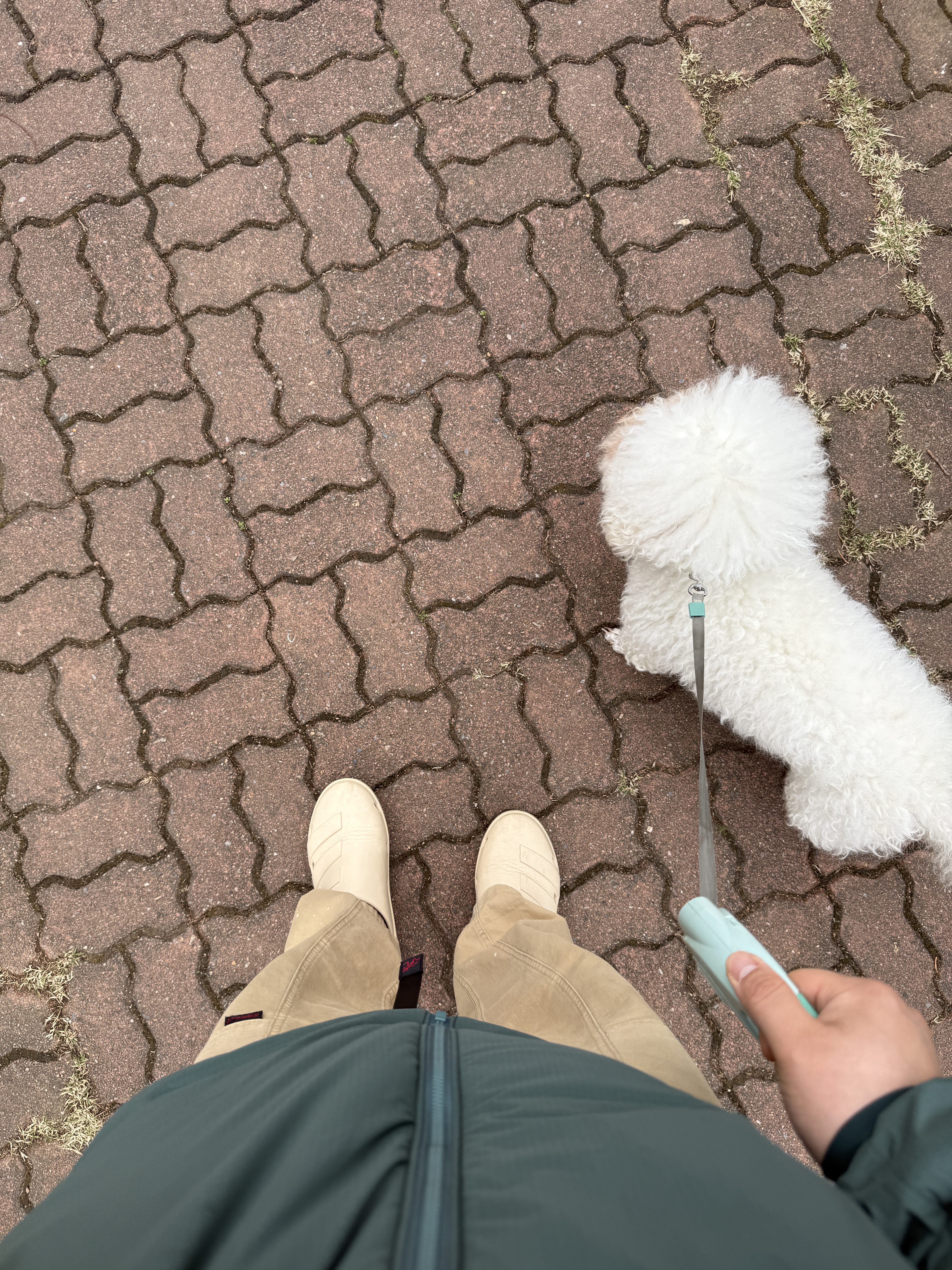 너구리님의 스타일
