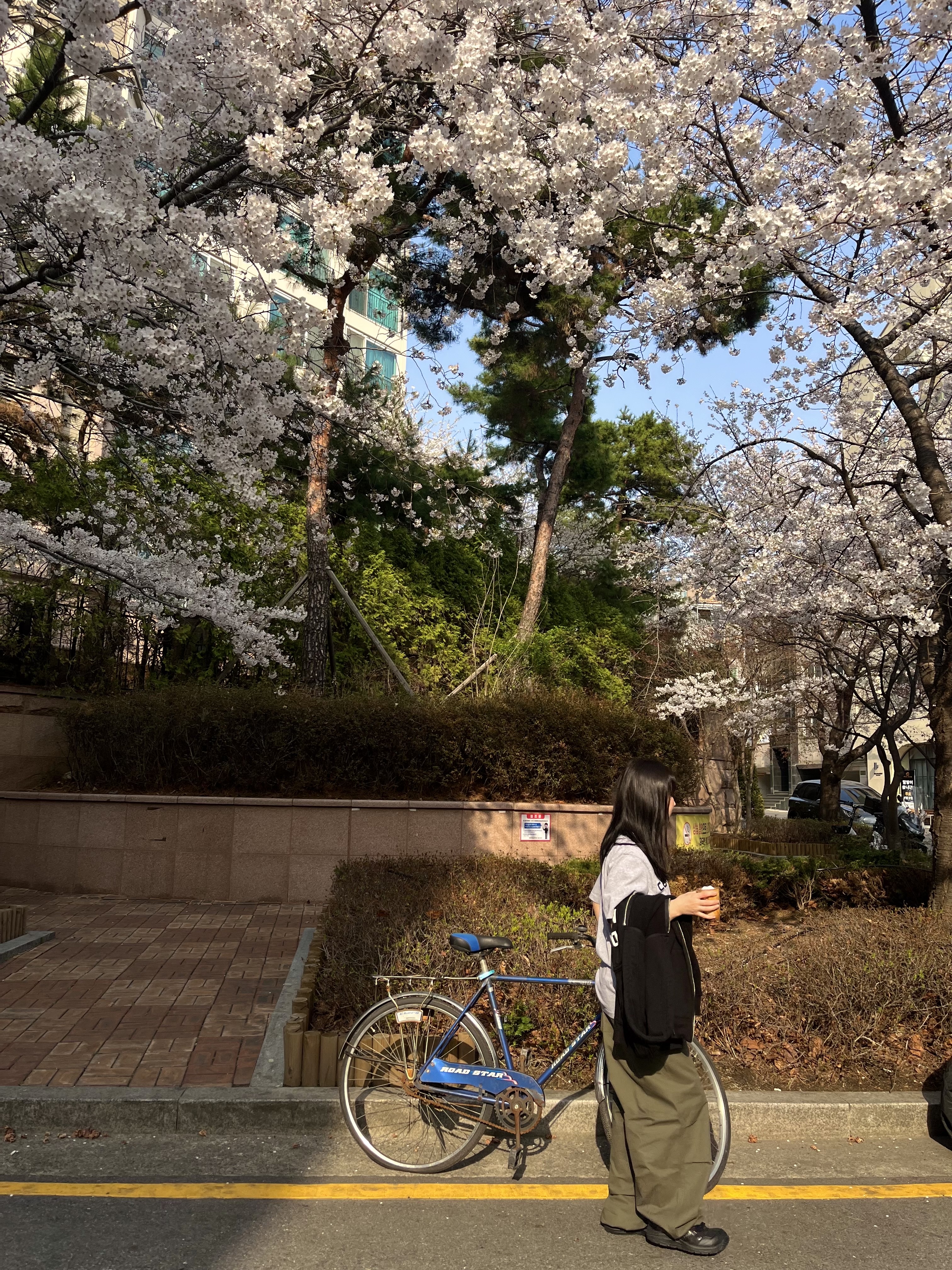 Asics Winjob CP215 Black 착용 스타일 - 1