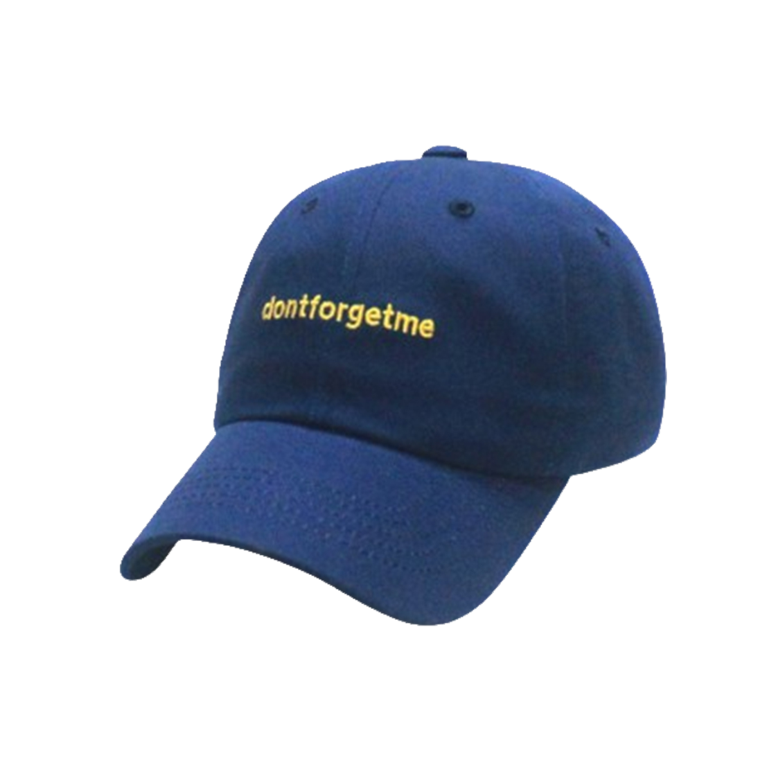 돈포겟미 볼캡 네이비(DONTFORGETME Strap Navy)