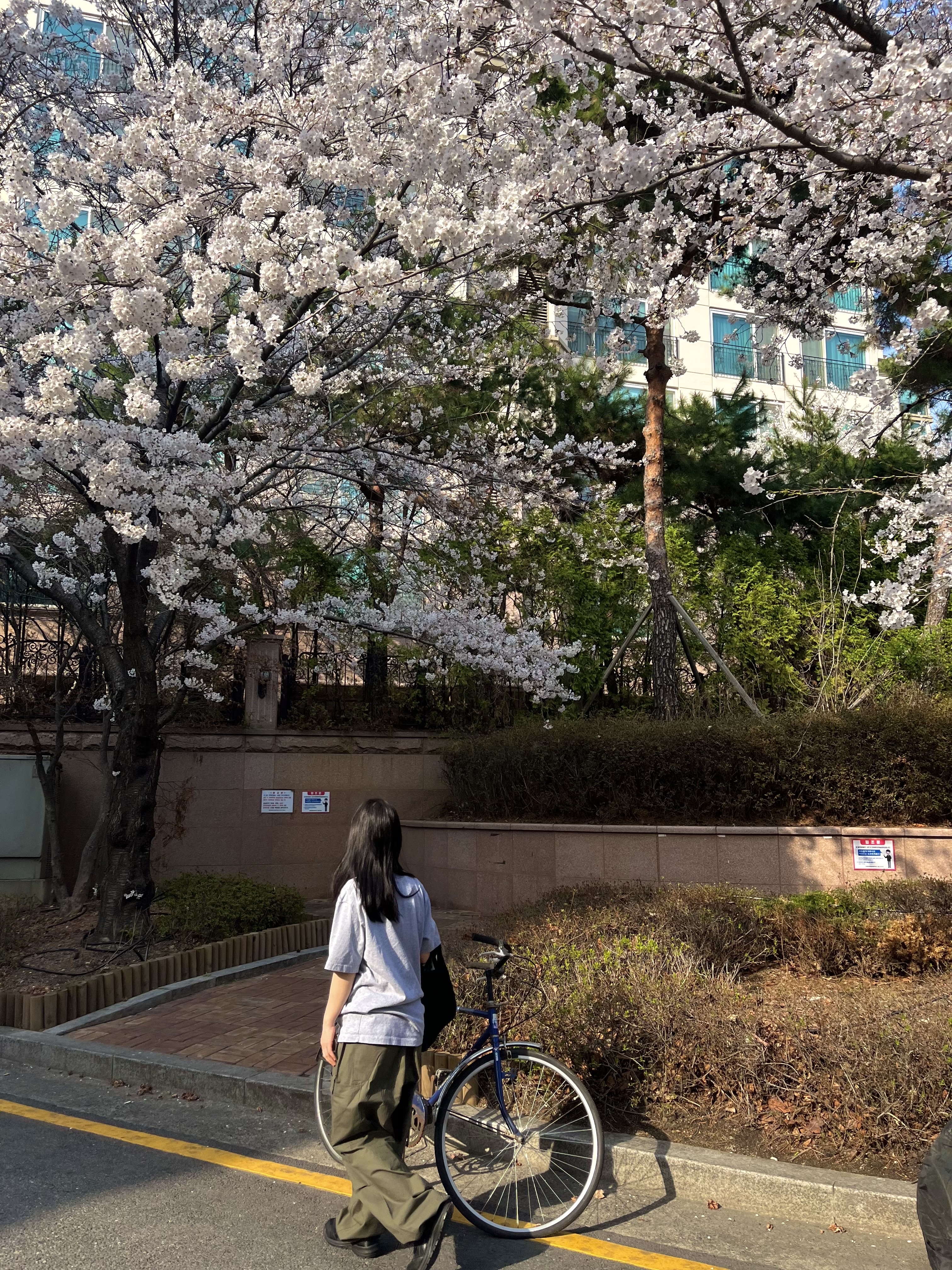 Asics Winjob CP215 Black 착용 스타일 - 2