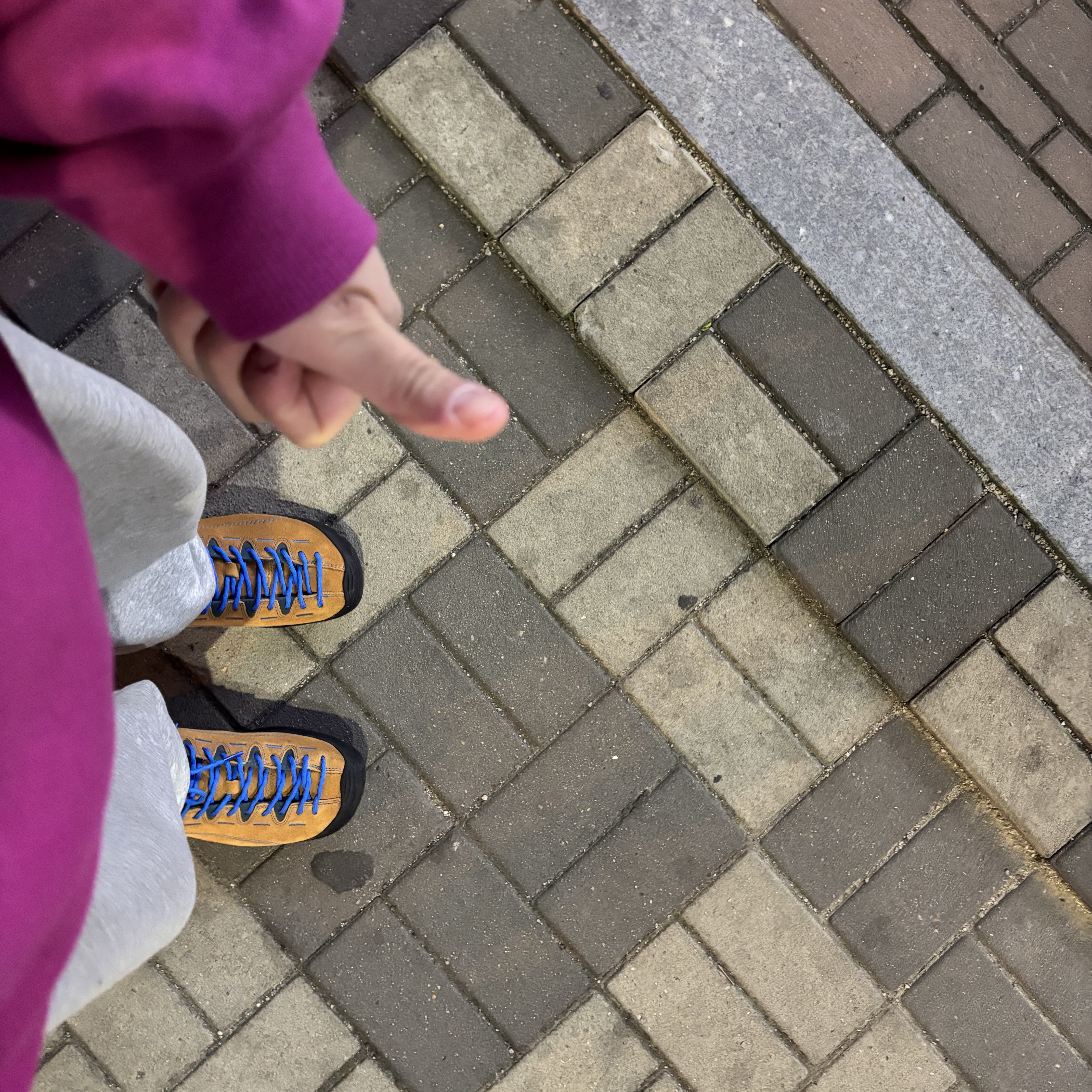 Keen Jasper Suede Sneakers Camel 착용 스타일