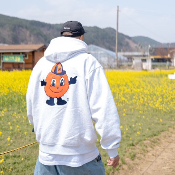 Supreme Mitchell & Ness NCAA Hooded Sweatshirt Ash Grey - 24FW, Supreme CDW Delta Carabiner Silver - 24SS 착용 스타일 - 4