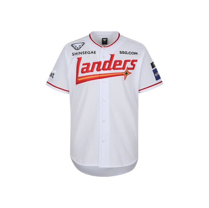 투표 선택 이미지