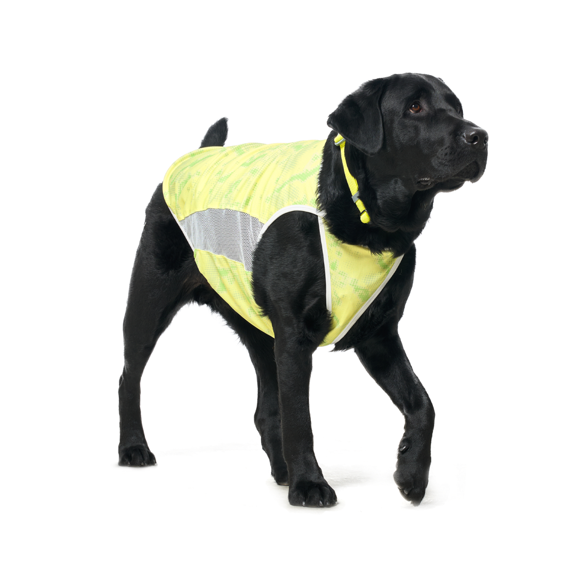 멀로 쿠어 탑 라임 3XL(Merlot Coore Top Lime 3XL) - 6