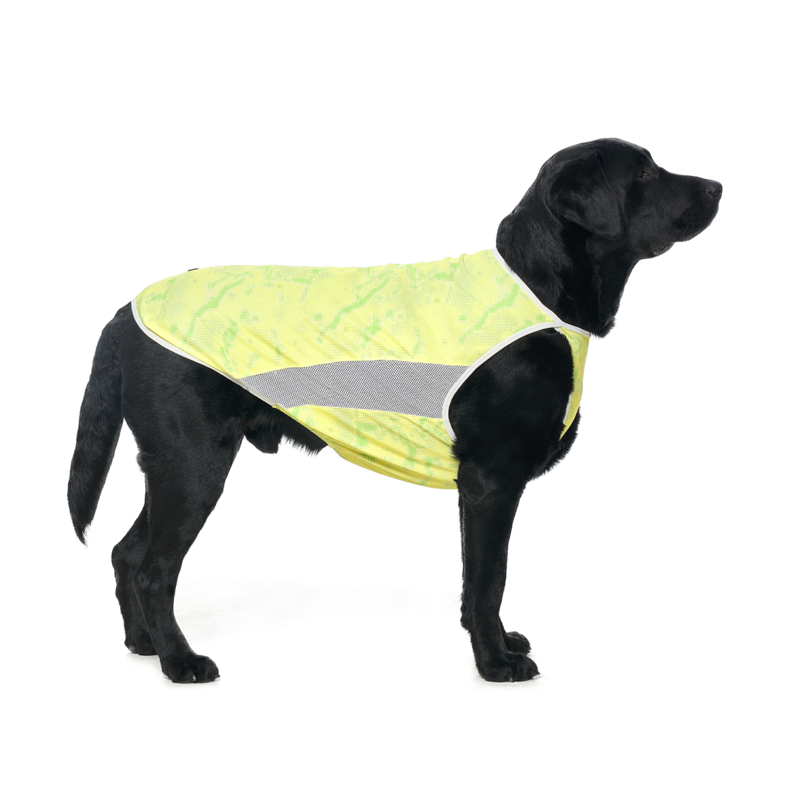 멀로 쿠어 탑 라임 XXL(Merlot Coore Top Lime XXL) - 3