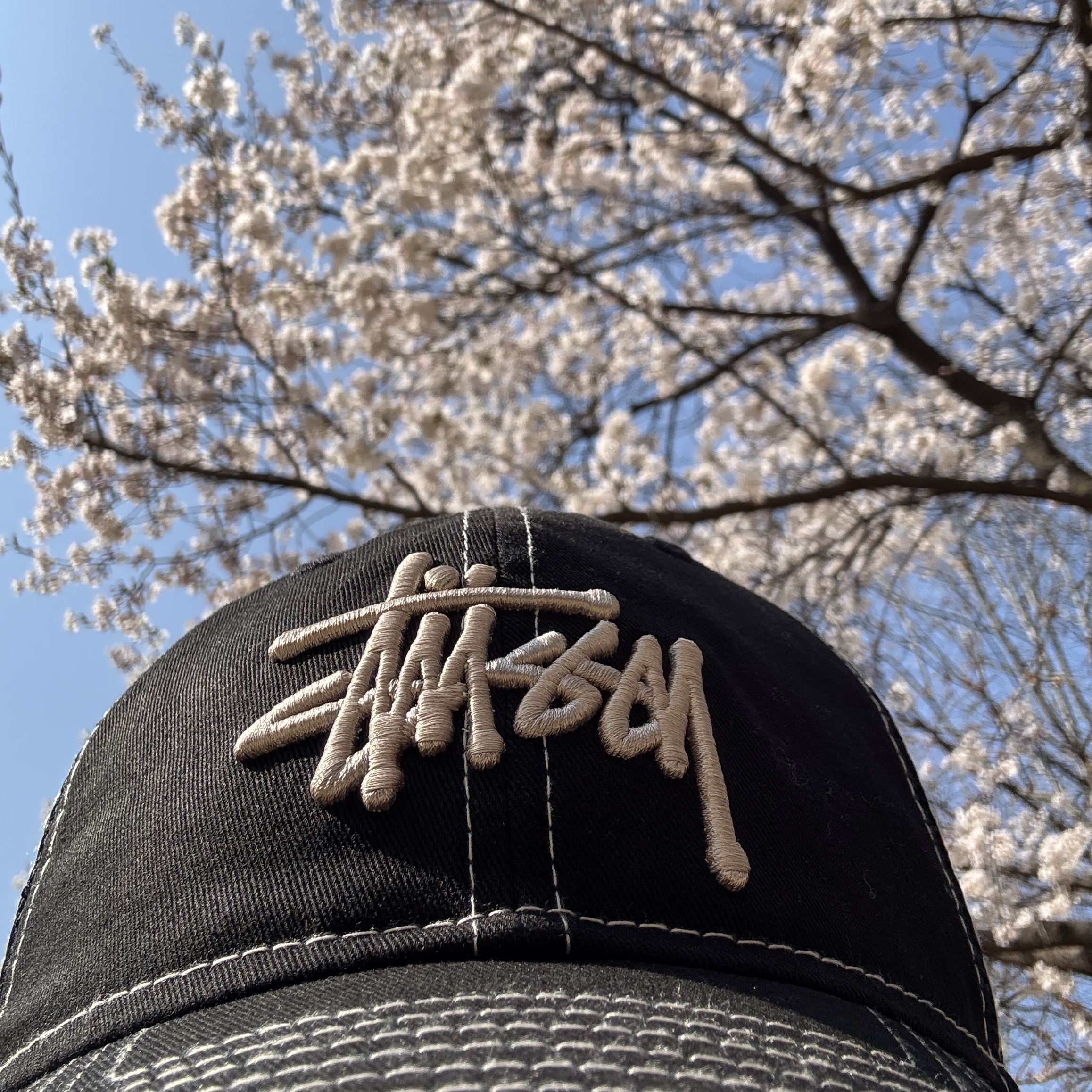 Stussy New Era 9twenty Basic Trucker Black 착용 스타일 - 2