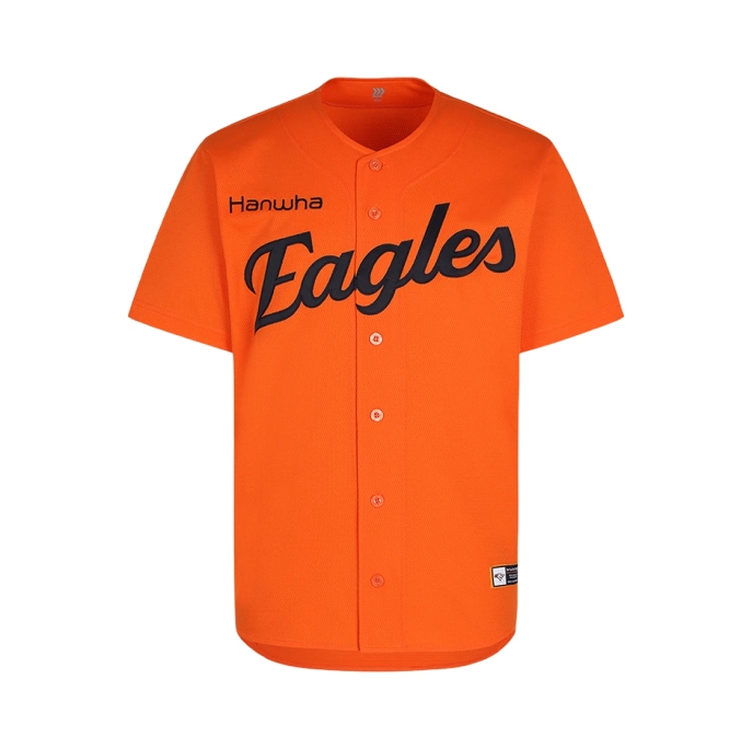 투표 선택 이미지