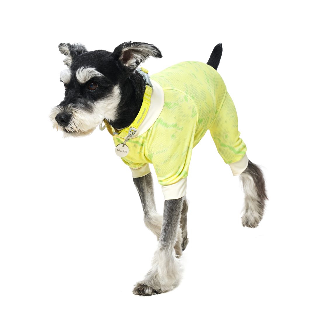 멀로 쿠어 수트 라임 XL(Merlot Coore Suit Lime XL) - 2