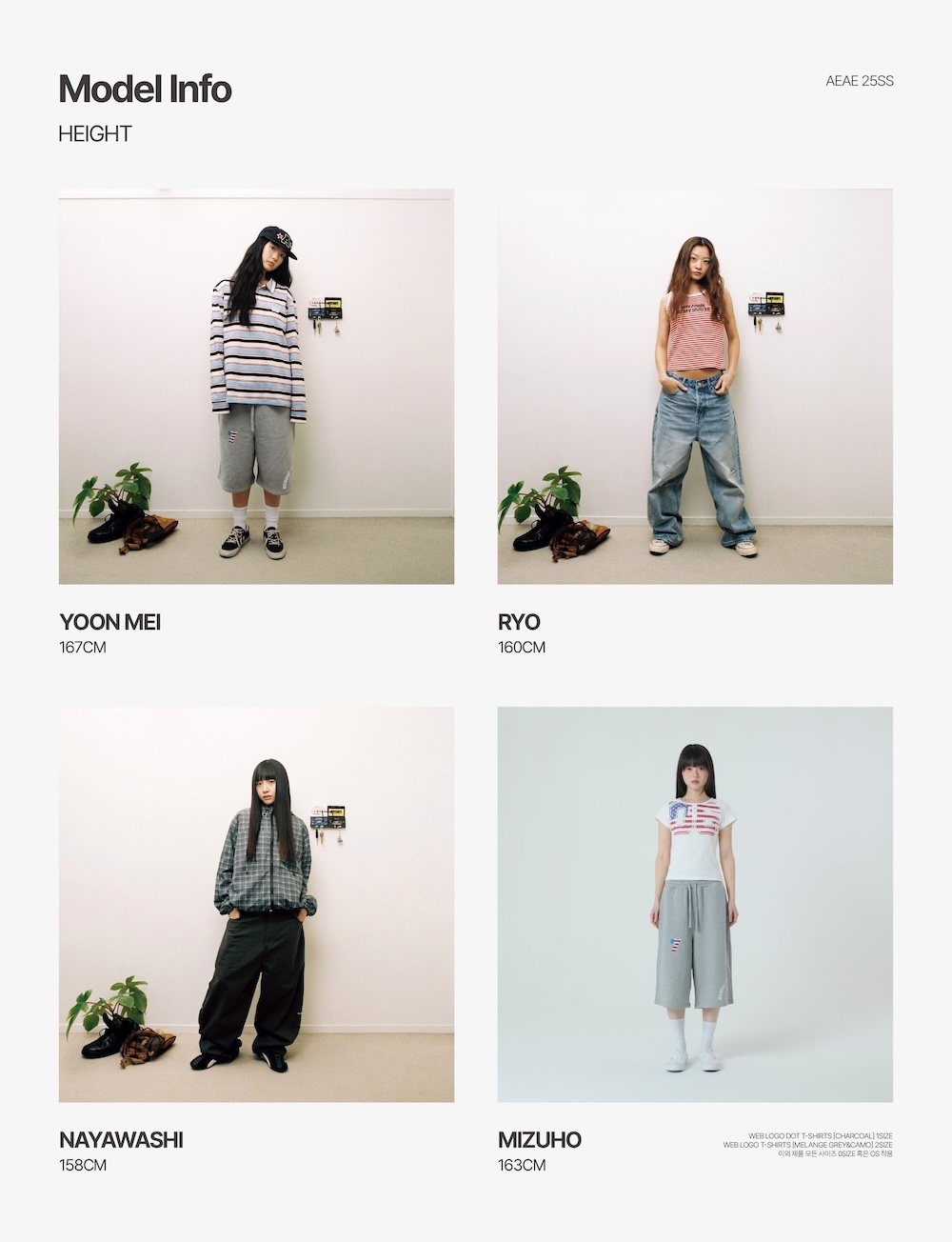【aeae】WEB LOGO CROP LS AEAE】WEB LOGO CROP T-SHIRTS (AEAE/Tシャツ・カットソー