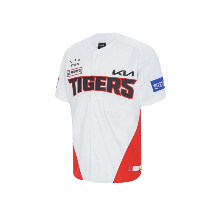 투표 선택 이미지