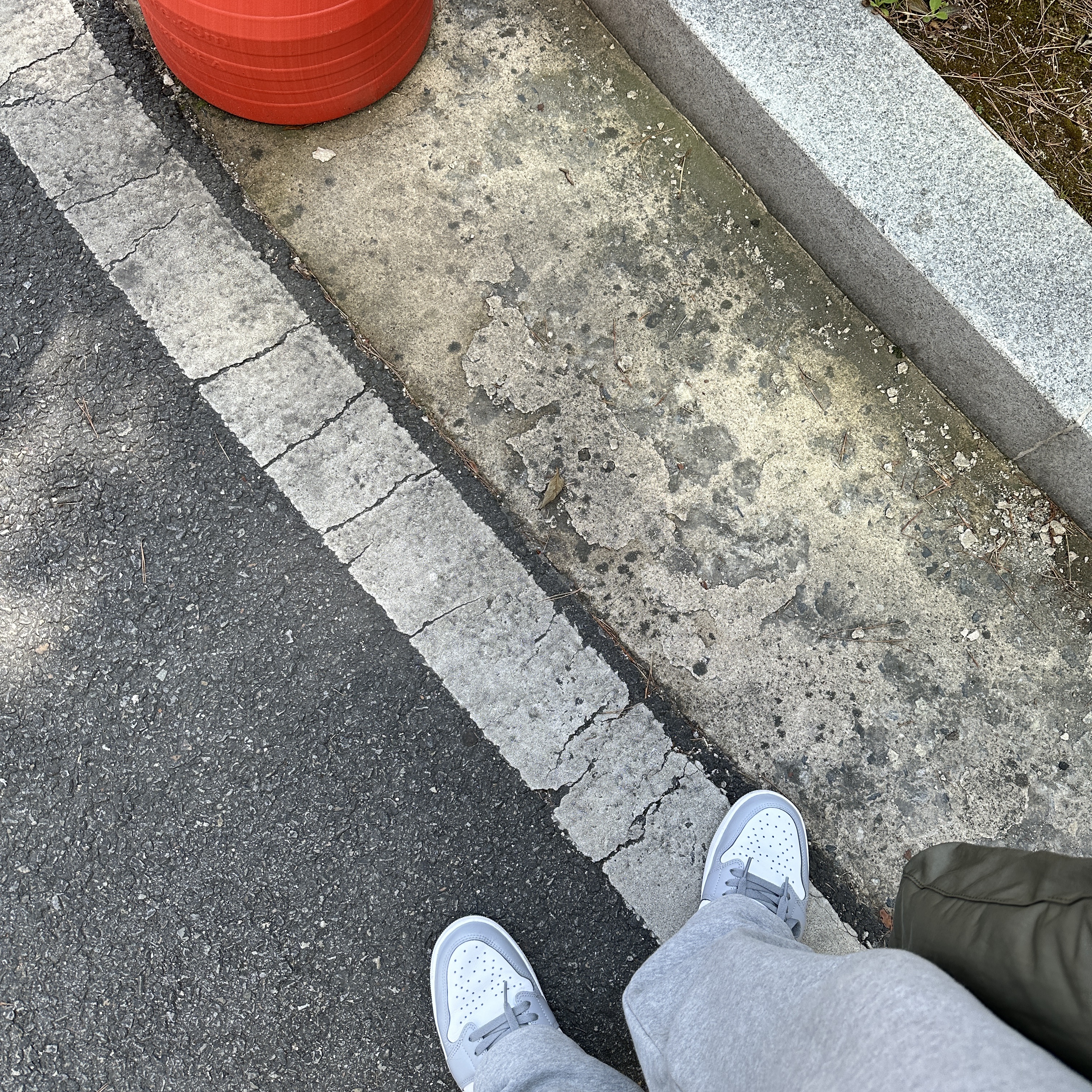 Jordan 1 Retro Low OG Wolf Grey and White 착용 스타일
