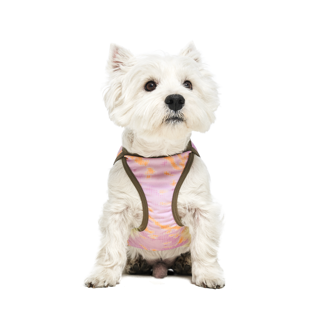 멀로 쿠어 탑 핑크 XL(Merlot Coore Top Pink XL) - 6