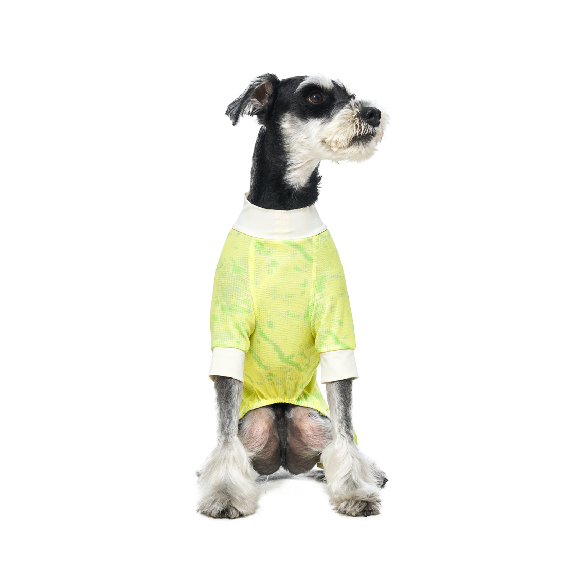 멀로 쿠어 수트 라임 4XL(Merlot Coore Suit Lime 4XL) - 3