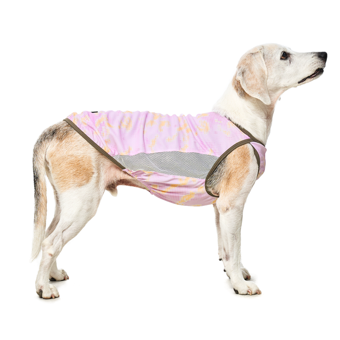 멀로 쿠어 탑 핑크 S(Merlot Coore Top Pink S) - 3