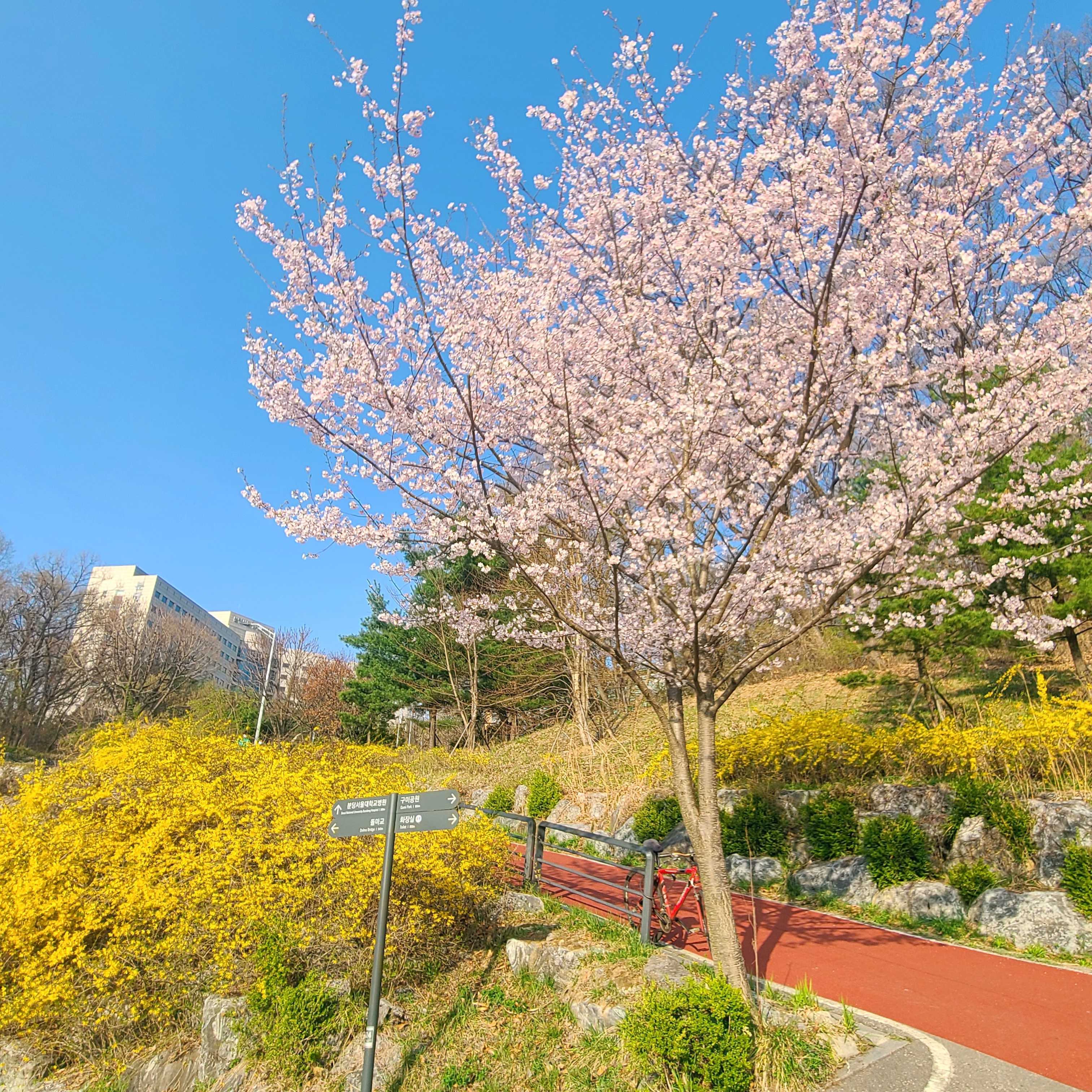귀엽고 멋지고 다하는 곰돌이 고고님의 스타일 - 1