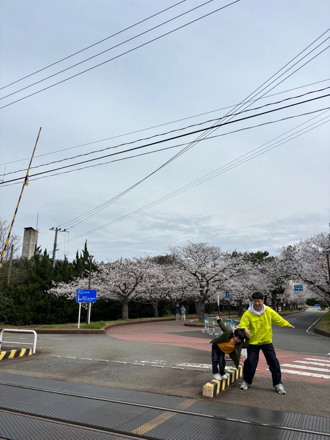 IAB Studio Hoodie Light Gray, Nike x Stussy Windrunner Jacket Bright Cactus 착용 스타일 - 10