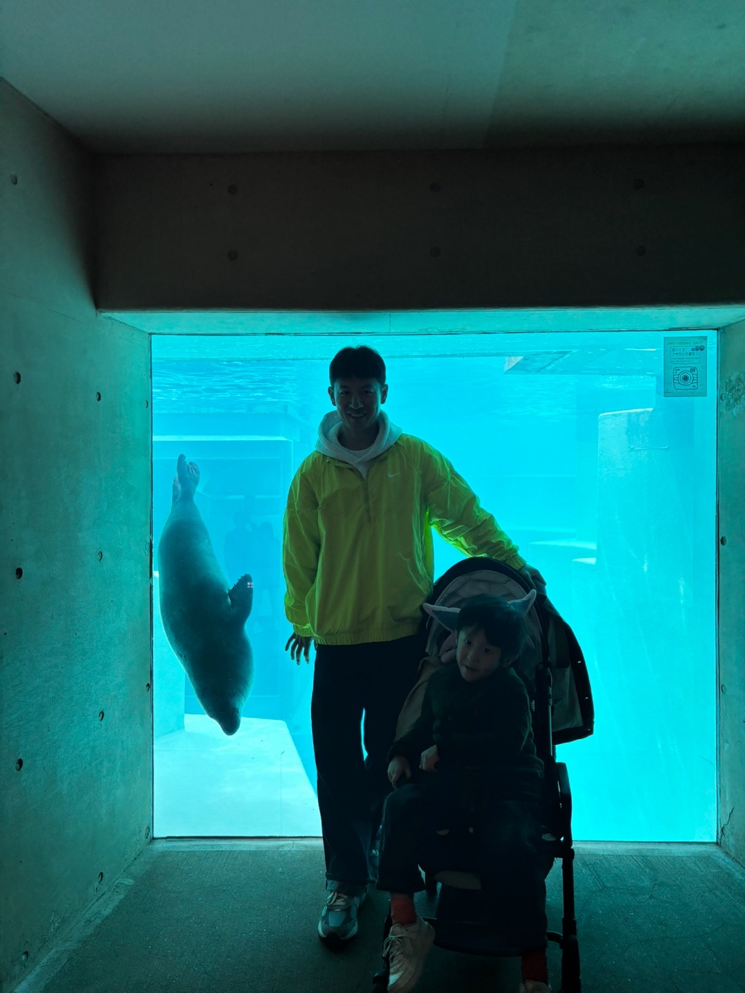 IAB Studio Hoodie Light Gray, Nike x Stussy Windrunner Jacket Bright Cactus 착용 스타일 - 4