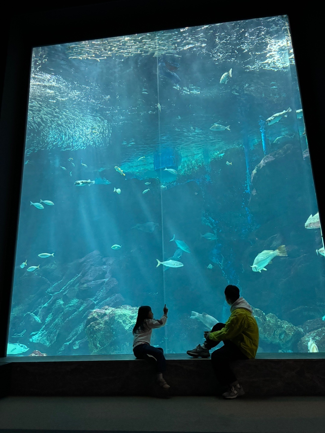 IAB Studio Hoodie Light Gray, Nike x Stussy Windrunner Jacket Bright Cactus 착용 스타일 - 5