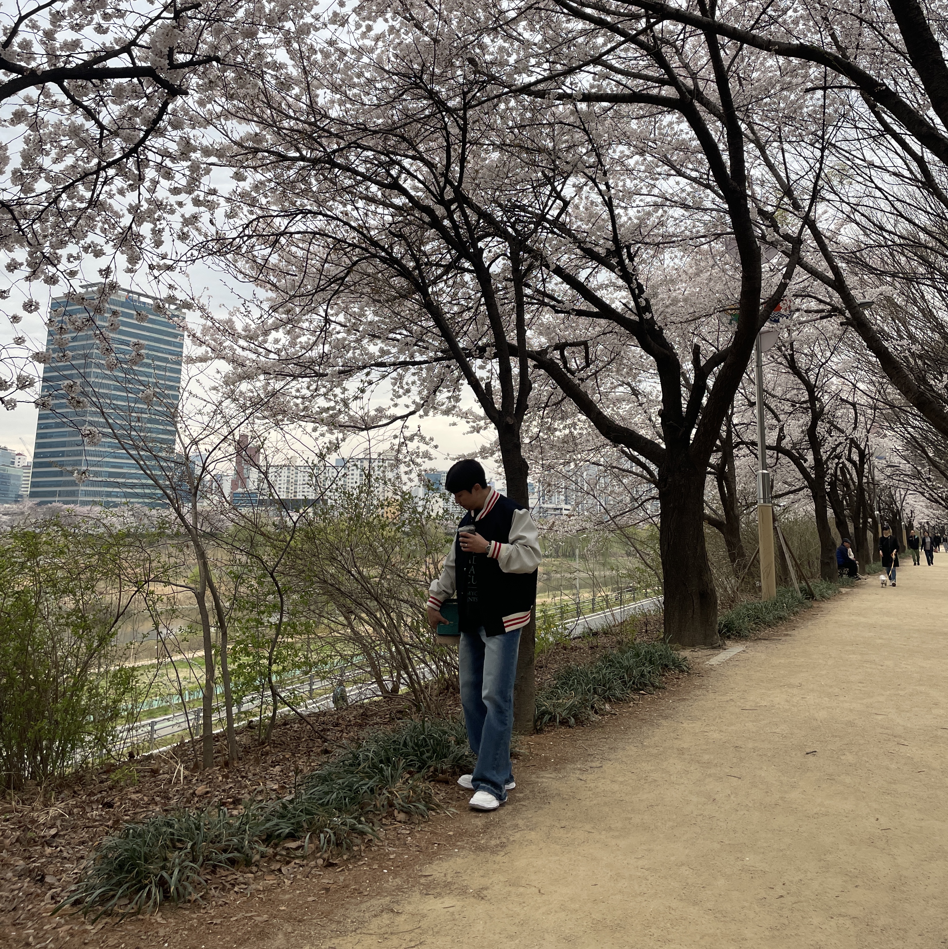 에스티유 엠브로더리 울 스트라이프 바시티 네이비, 메종 미하라 야스히로 웨인 OG 솔 레더 로우탑 스니커즈 화이트 착용 스타일 - 1