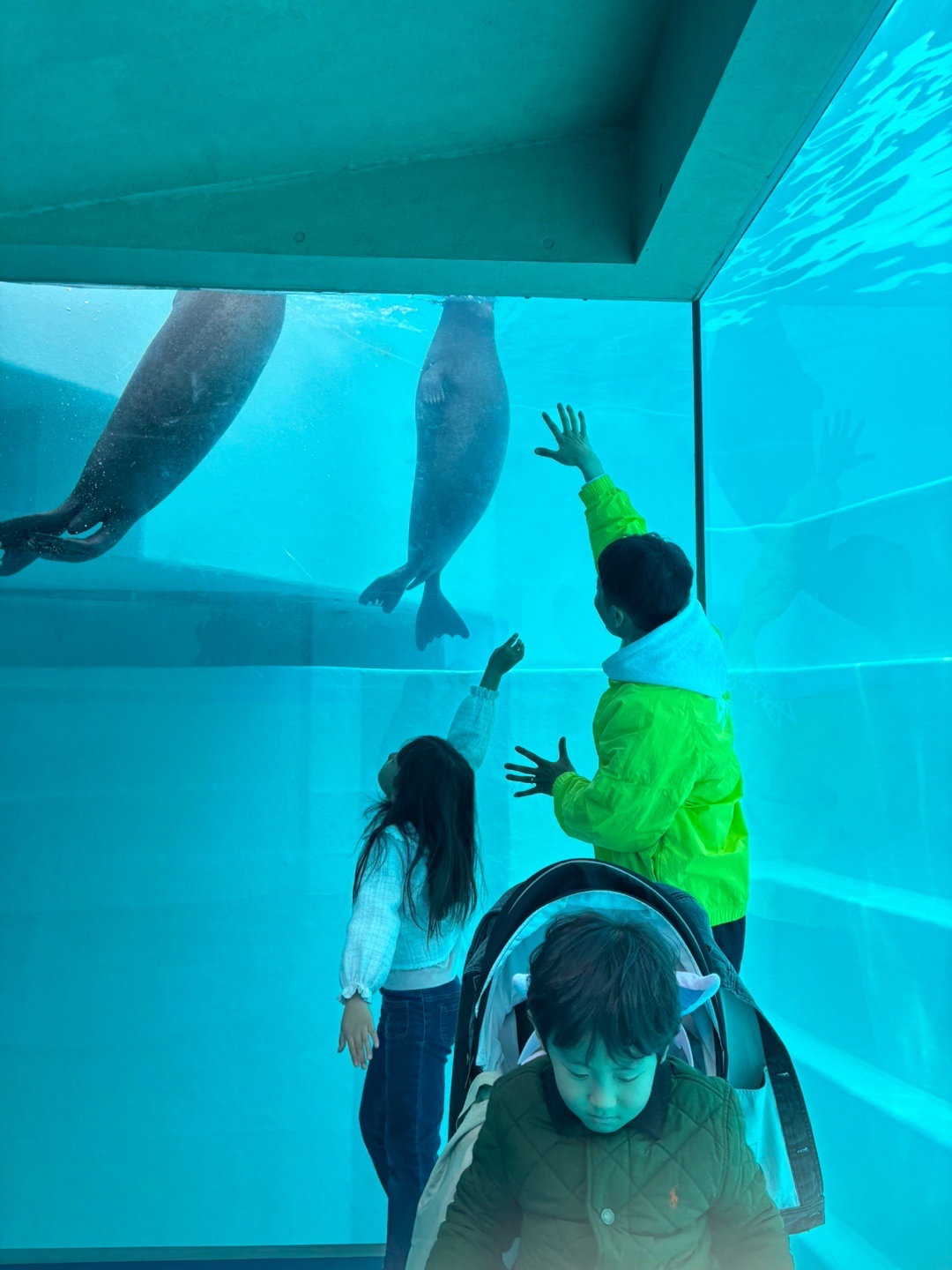 IAB Studio Hoodie Light Gray, Nike x Stussy Windrunner Jacket Bright Cactus 착용 스타일 - 3