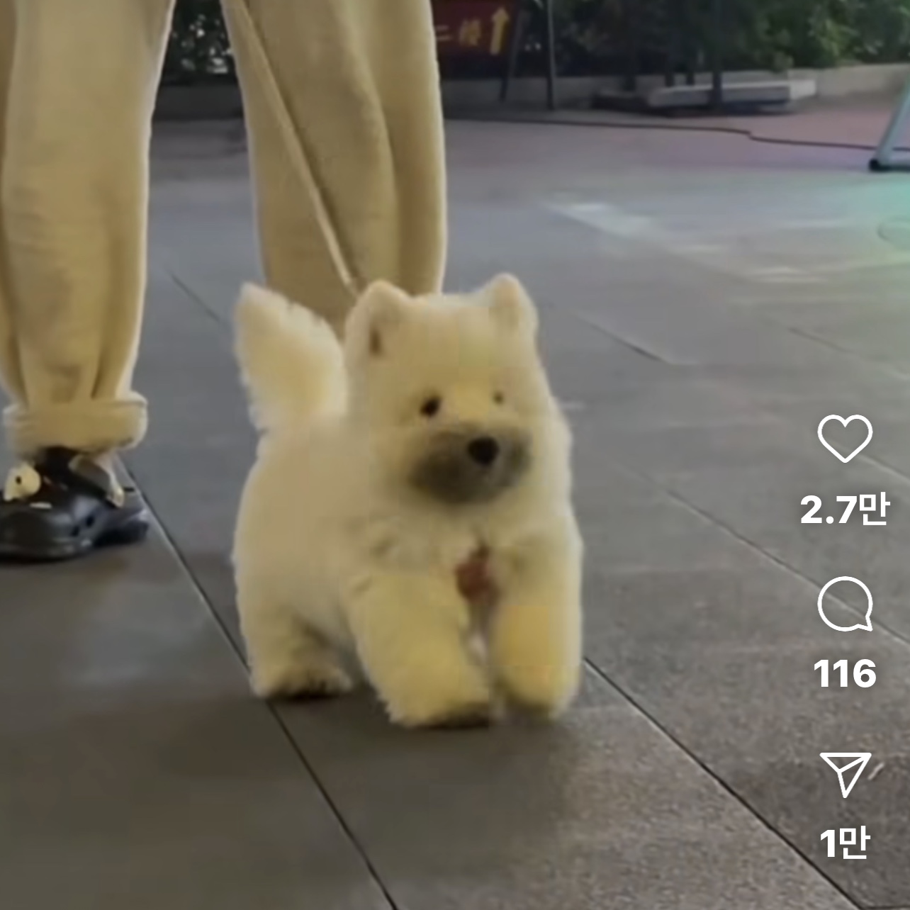 아크테릭스 헬리아드 15 백팩 블랙 착용 스타일