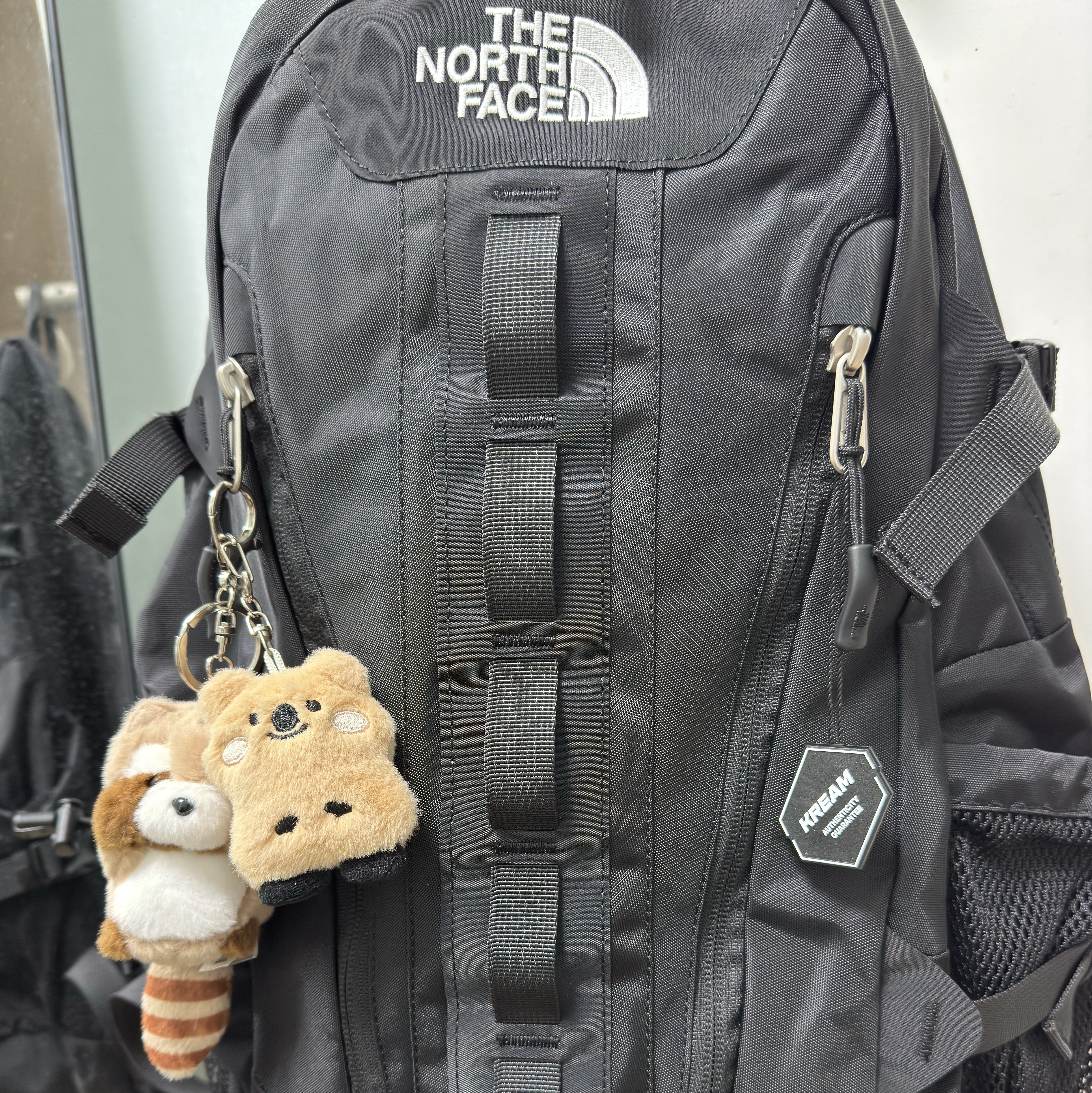 The North Face Big Shot Black 착용 스타일