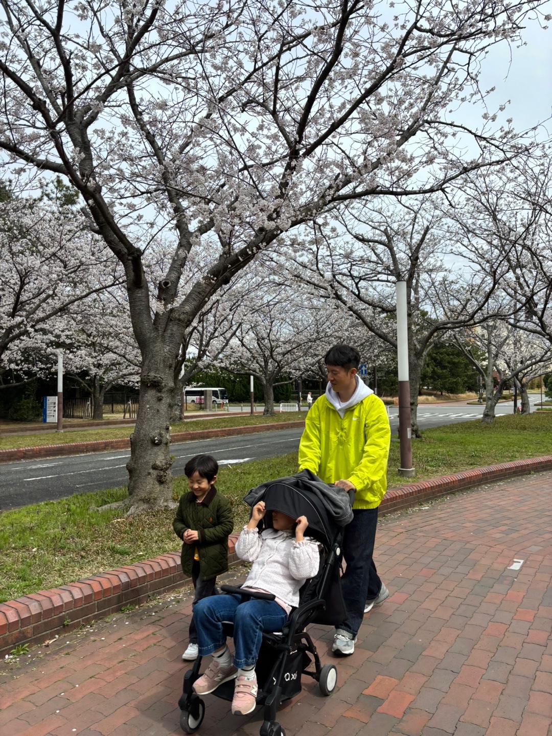IAB Studio Hoodie Light Gray, Nike x Stussy Windrunner Jacket Bright Cactus 착용 스타일 - 9